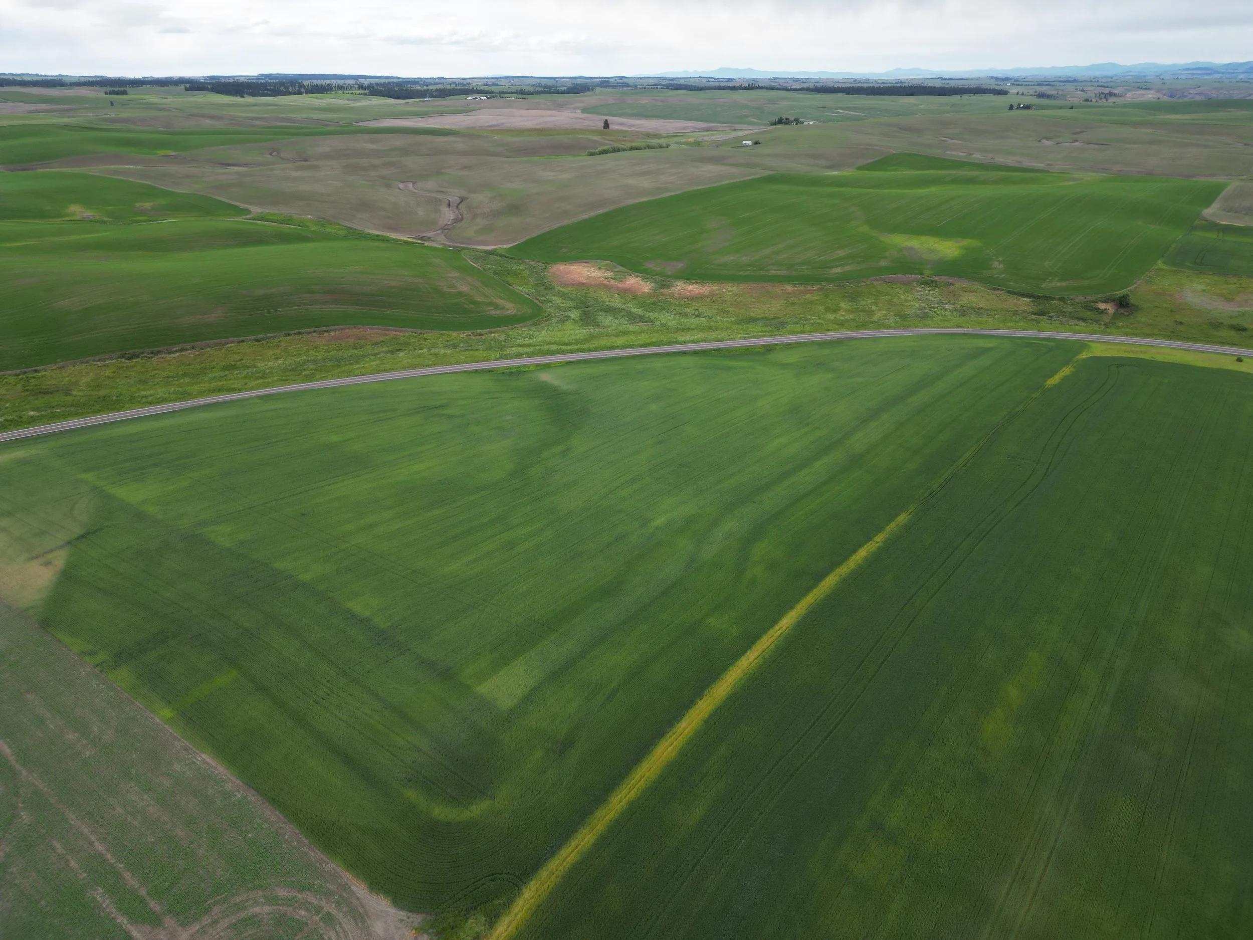 5-Eck Family Farm Trust.JPG