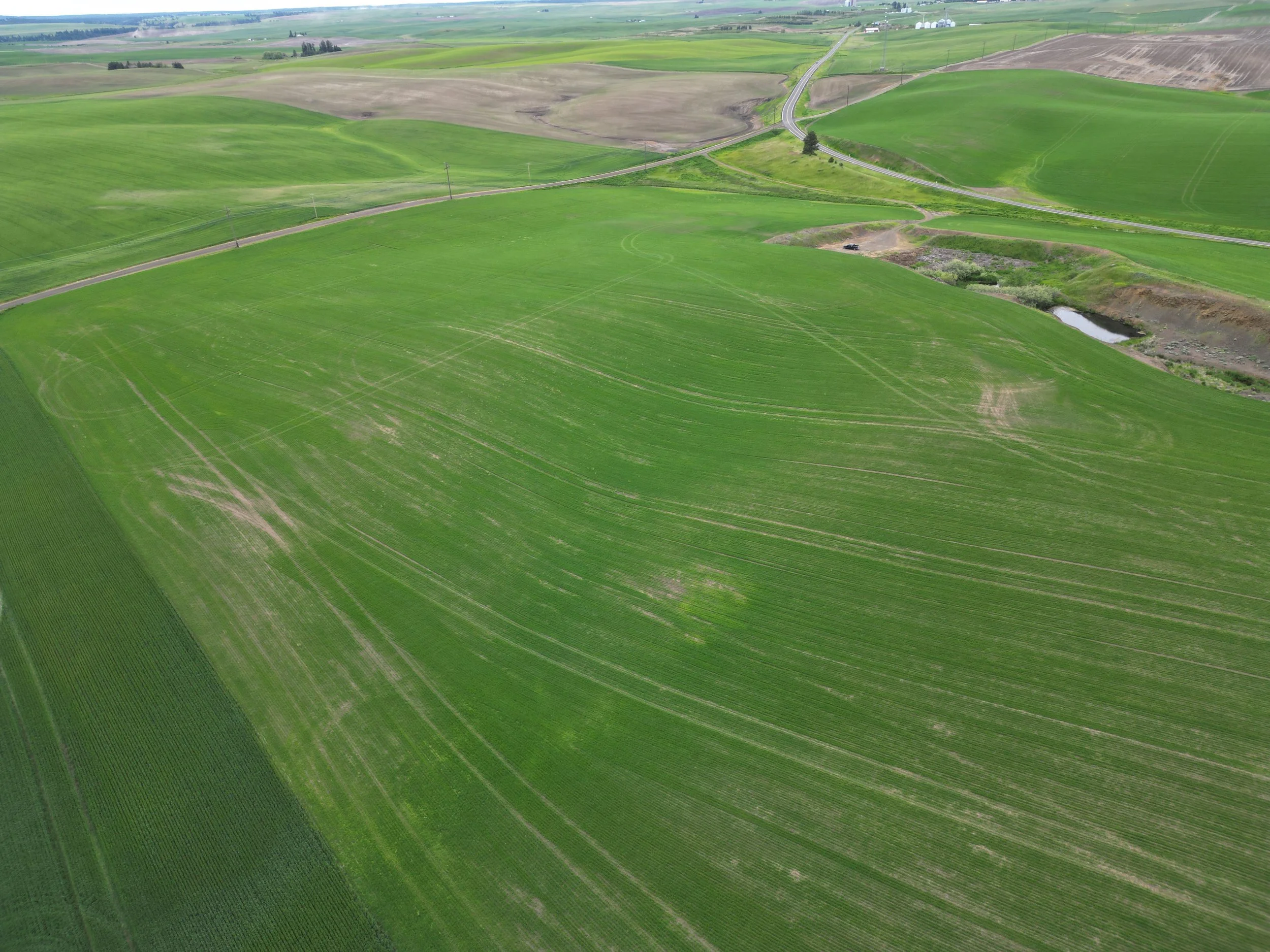 14-Eck Family Farm Trust.JPG
