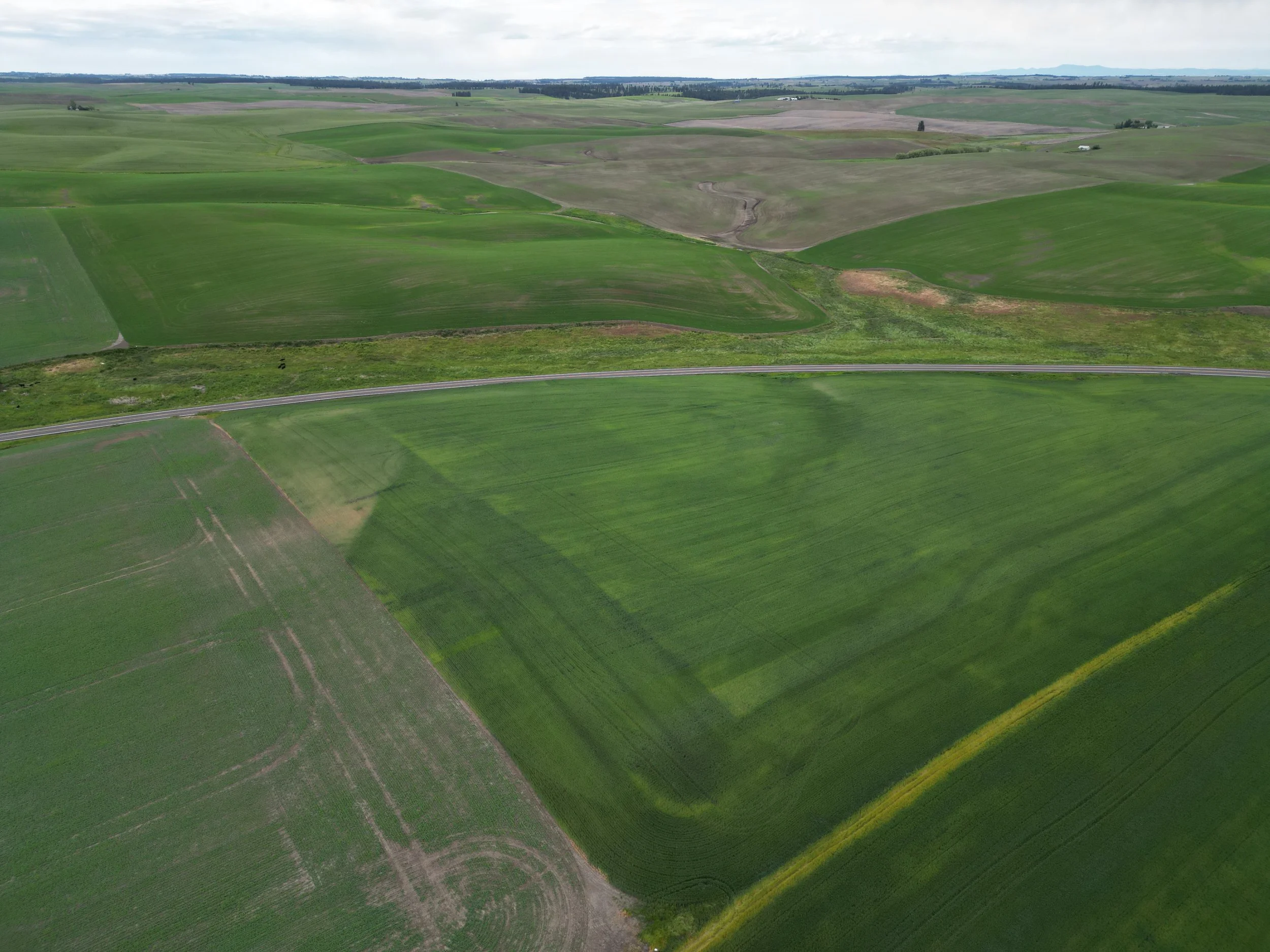 16-Eck Family Farm Trust.JPG