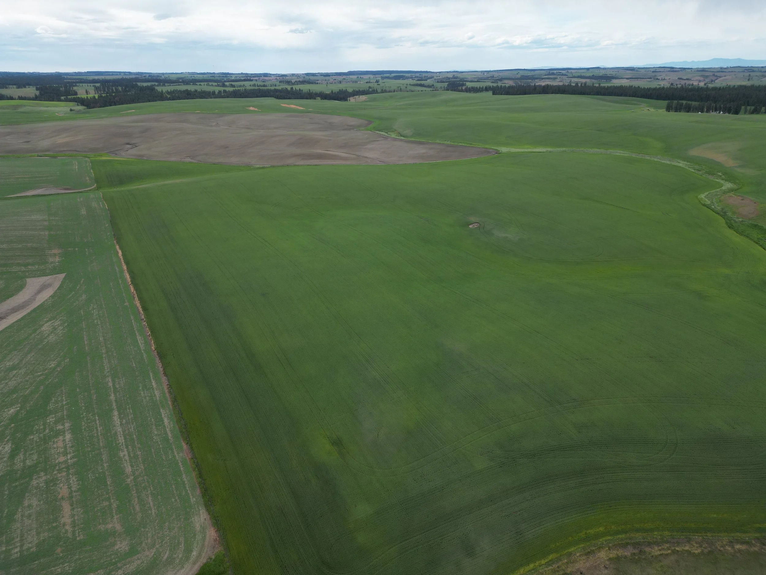 18-Eck Family Farm Trust.JPG