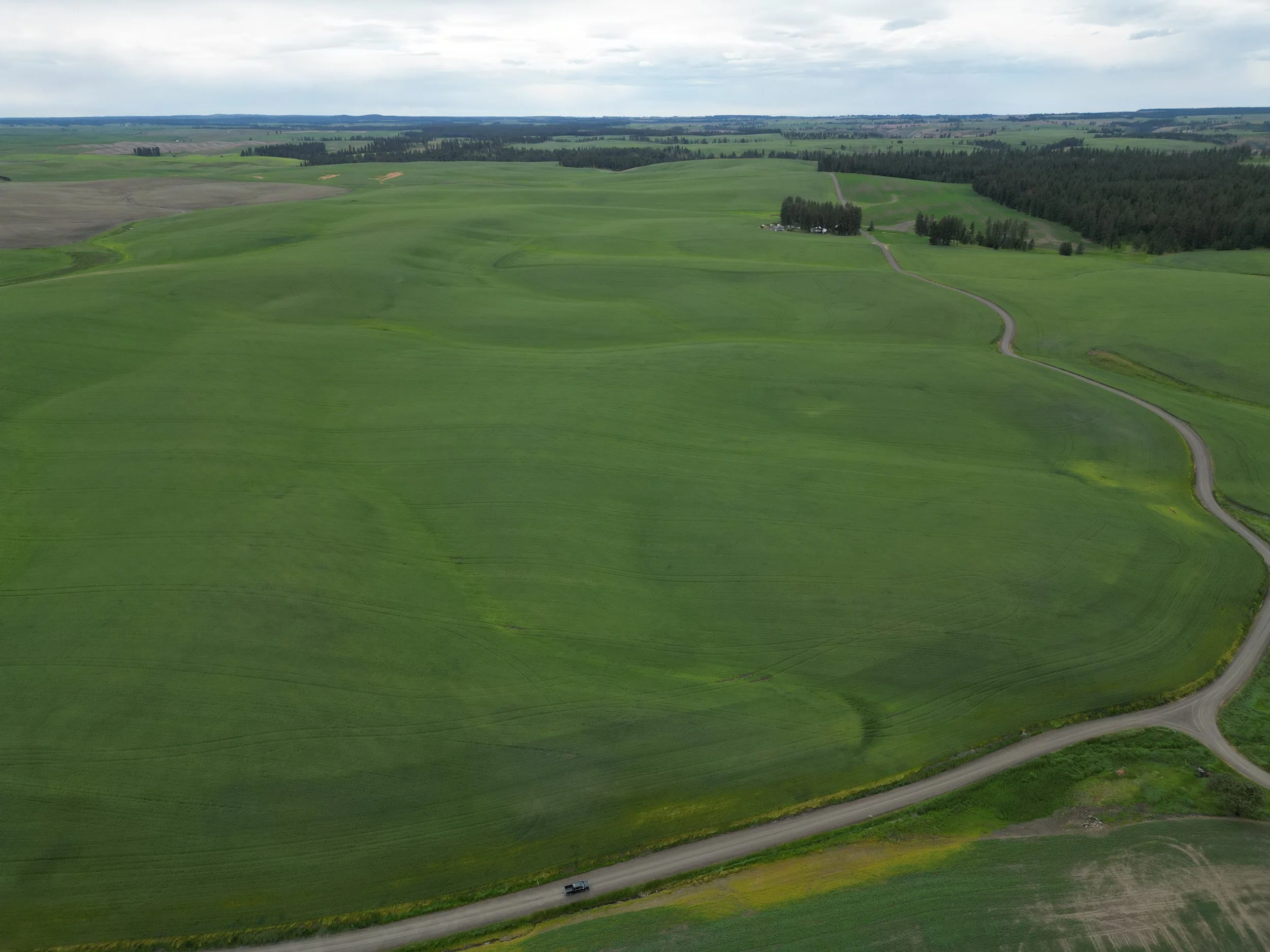 19-Eck Family Farm Trust.JPG