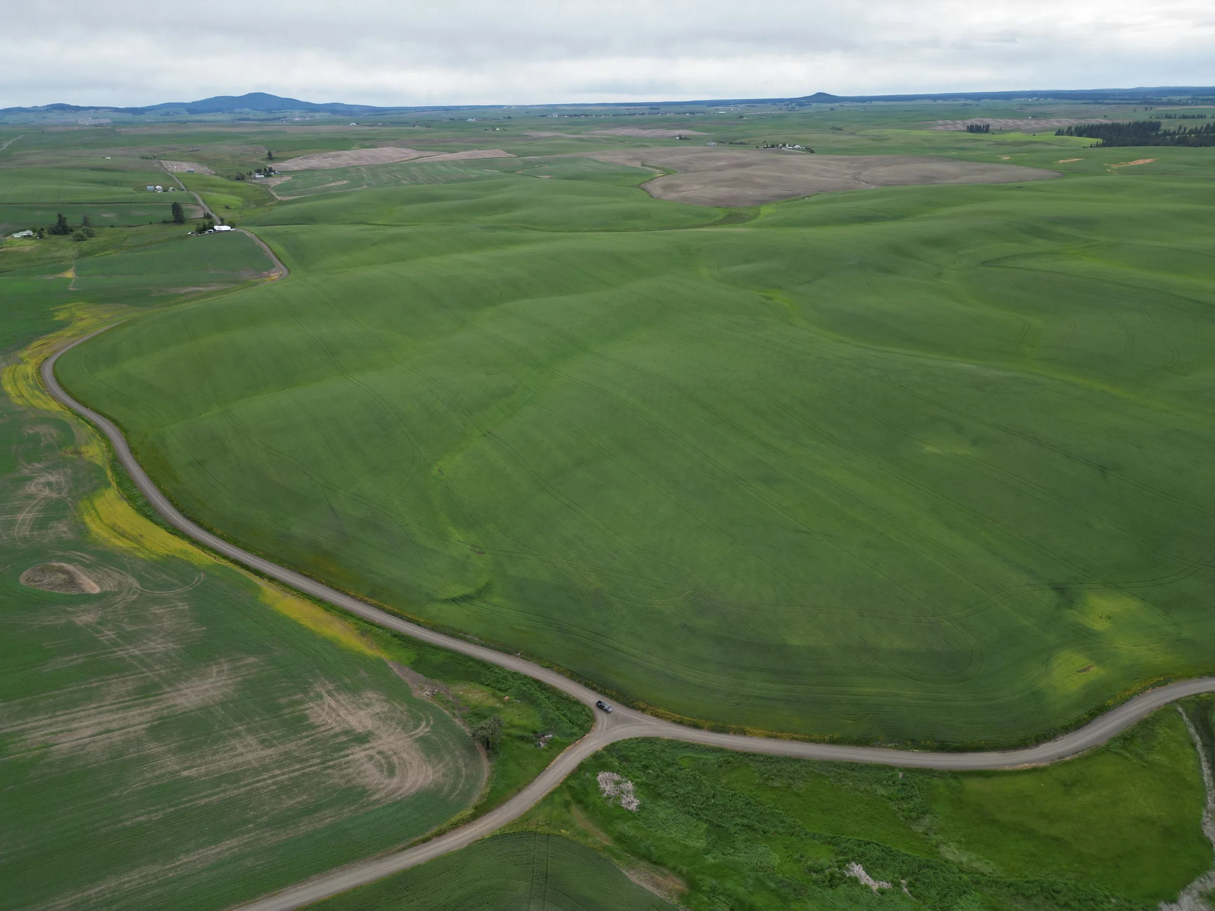 20-Eck Family Farm Trust.JPG