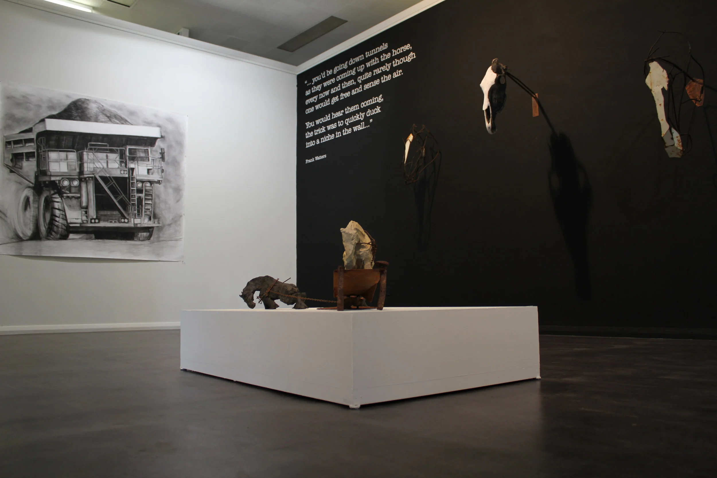 IMG_5367-copy.jpg