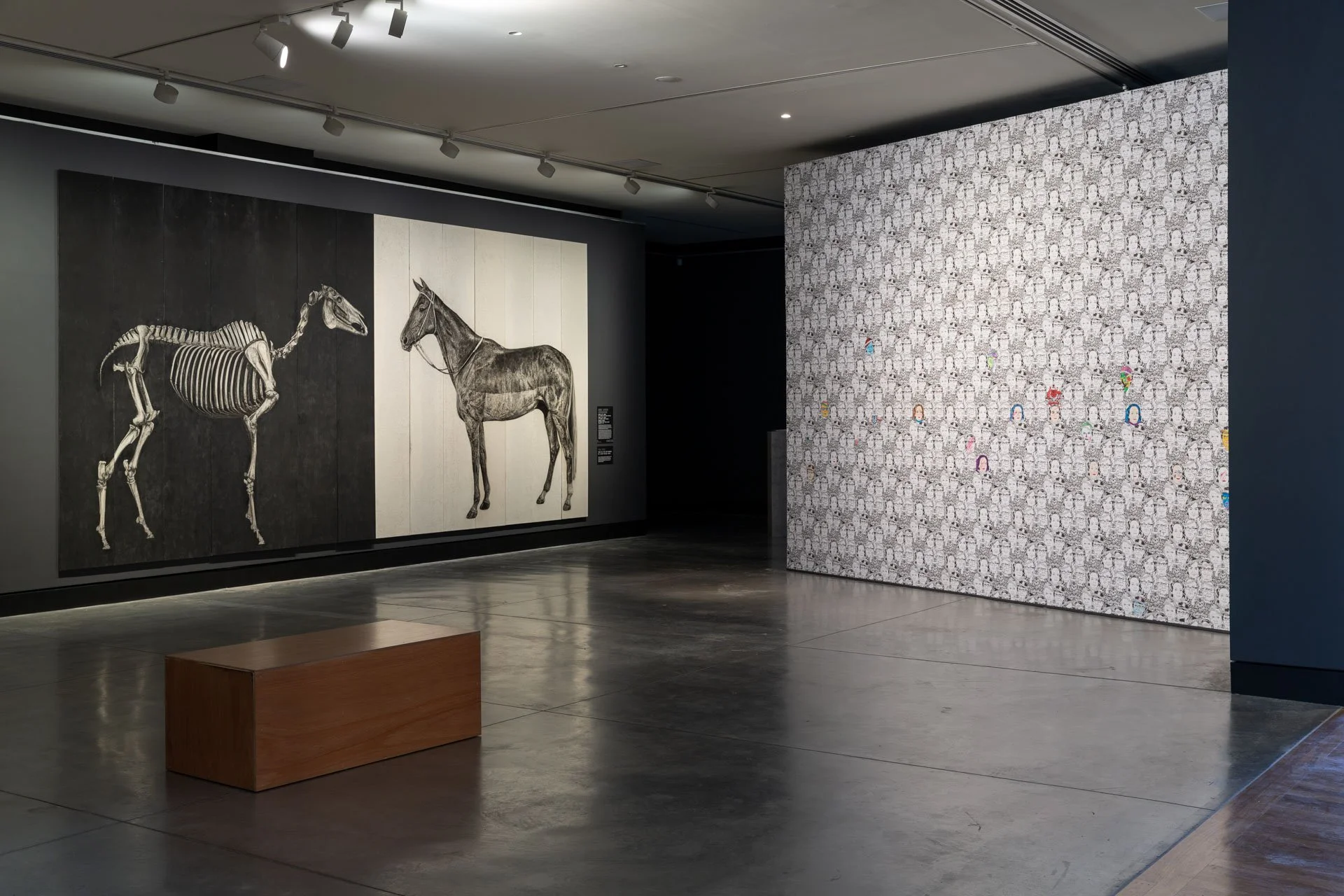 Storylines Exhibition MRAG 2021 WEB 03.jpg