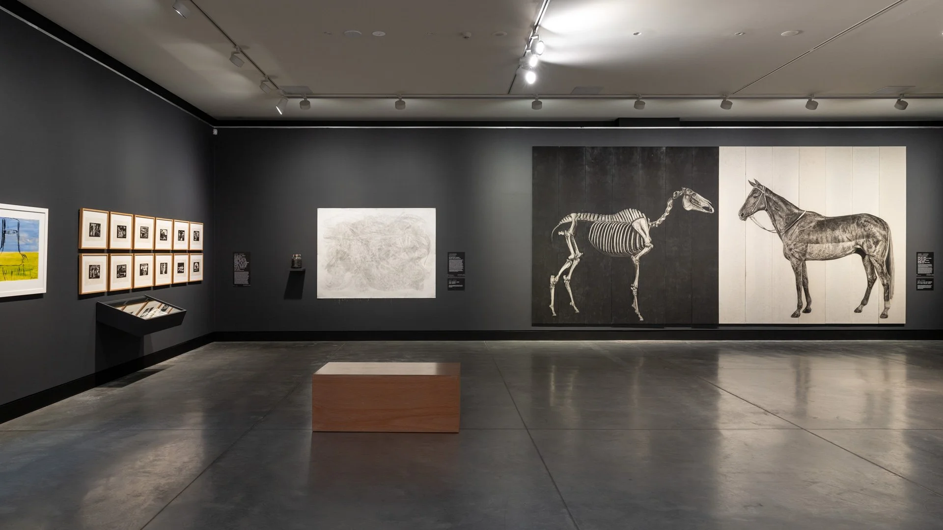 Storylines Exhibition MRAG 2021 WEB 08.jpg