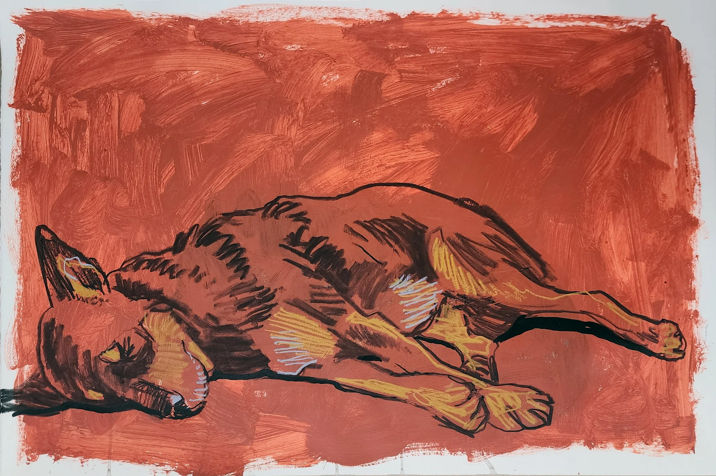 fuller_todd_daisy sleeping.jpg