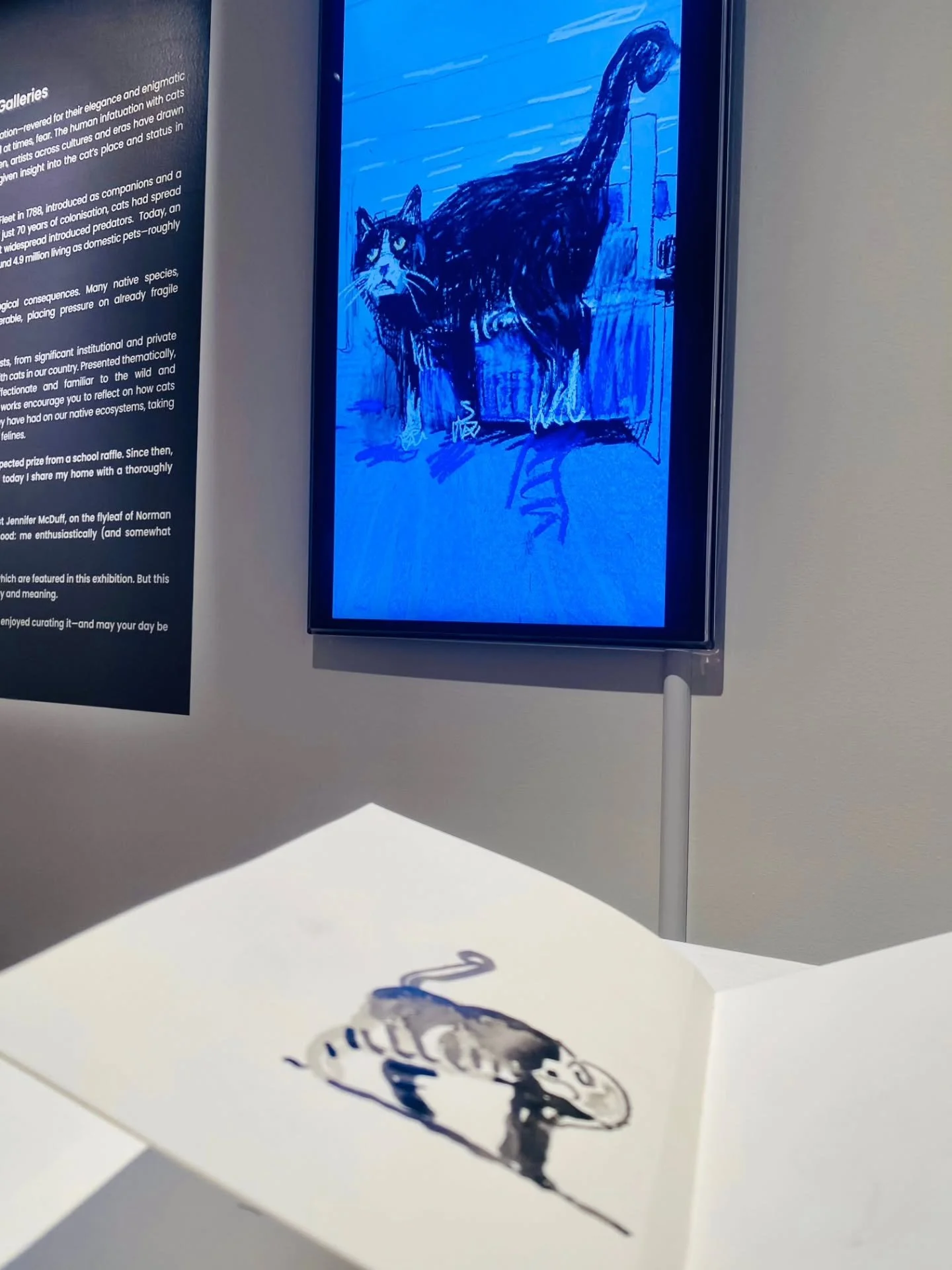 If you are tripping around Queensland this holiday season, be sure to check out Cats at Bundaberg.

Curated by Bundaberg Regional Galleries,&nbsp;Cats&nbsp;explores Australia's relationship with felines - from domestic companion through to cunning hu