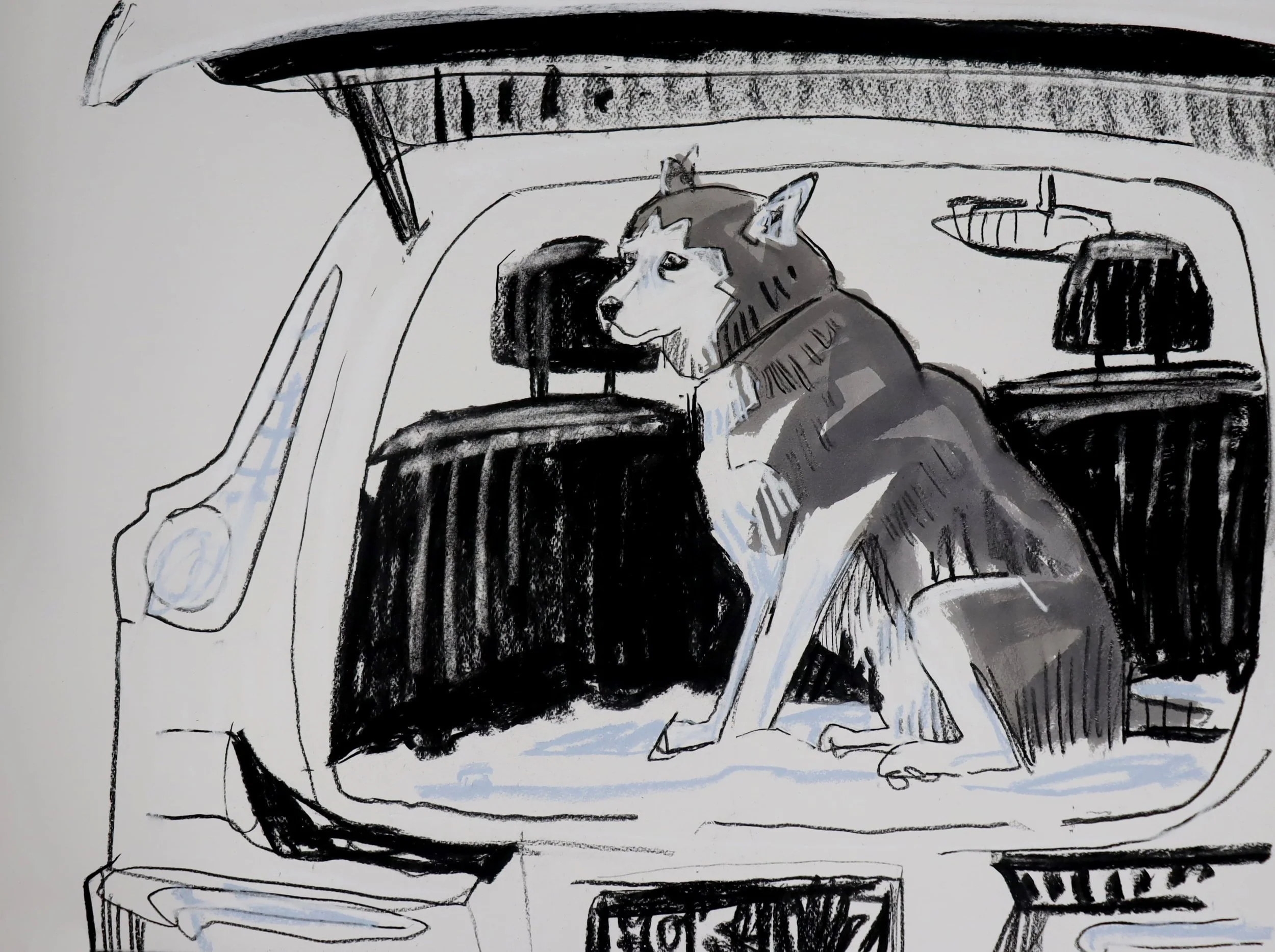 Todd Fuller_Dog car study_2025_Chalk, charcoal and ink on paper_56x76 cm -min.JPG