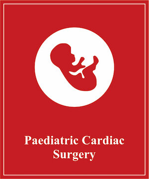 Paediatric Cardiac Surgery.jpg