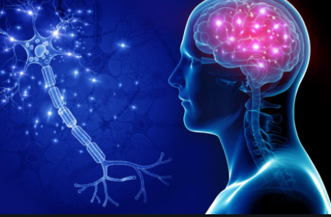 What is a Neurologist?