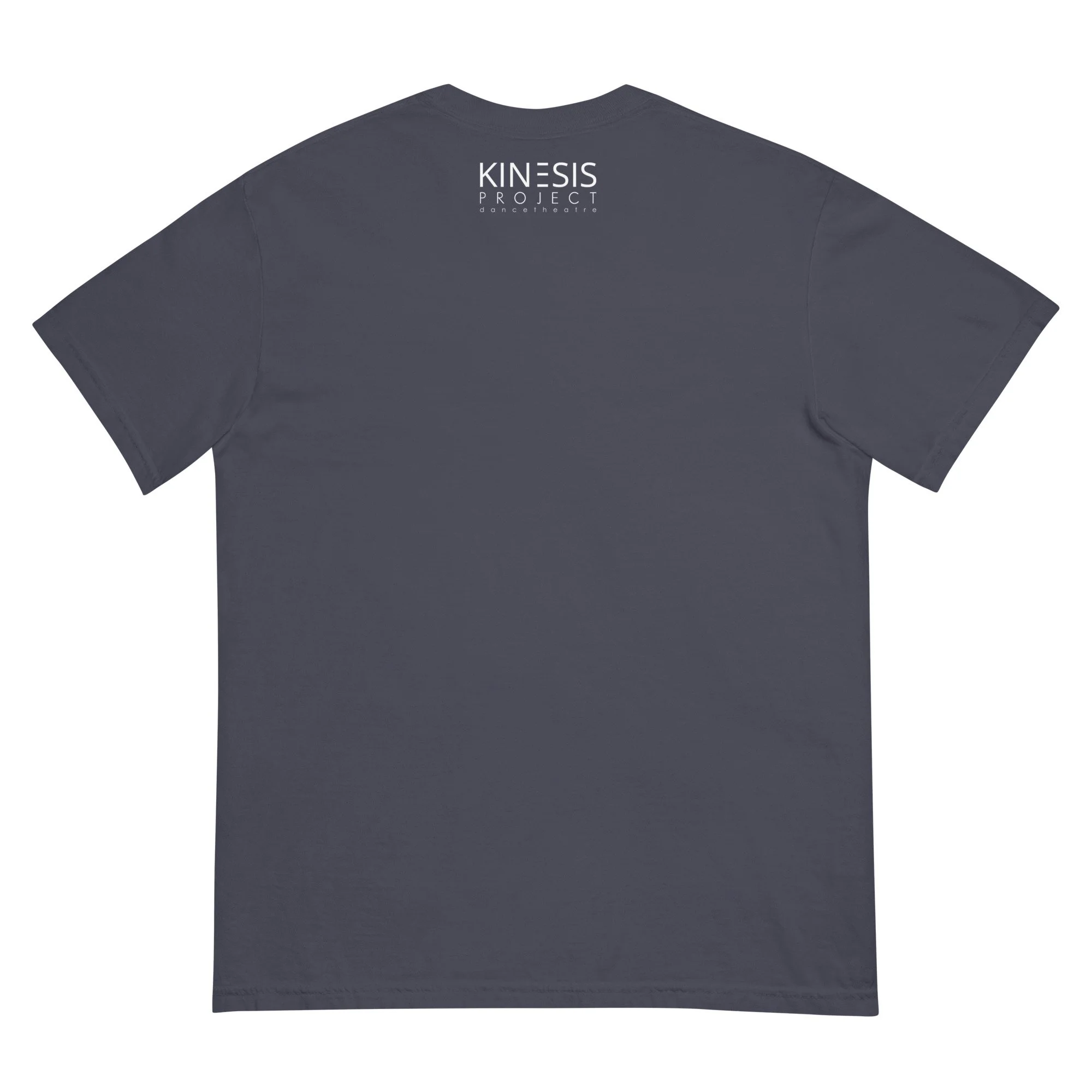 unisex-garment-dyed-heavyweight-t-shirt-navy-back-69208e8ba5994.jpg