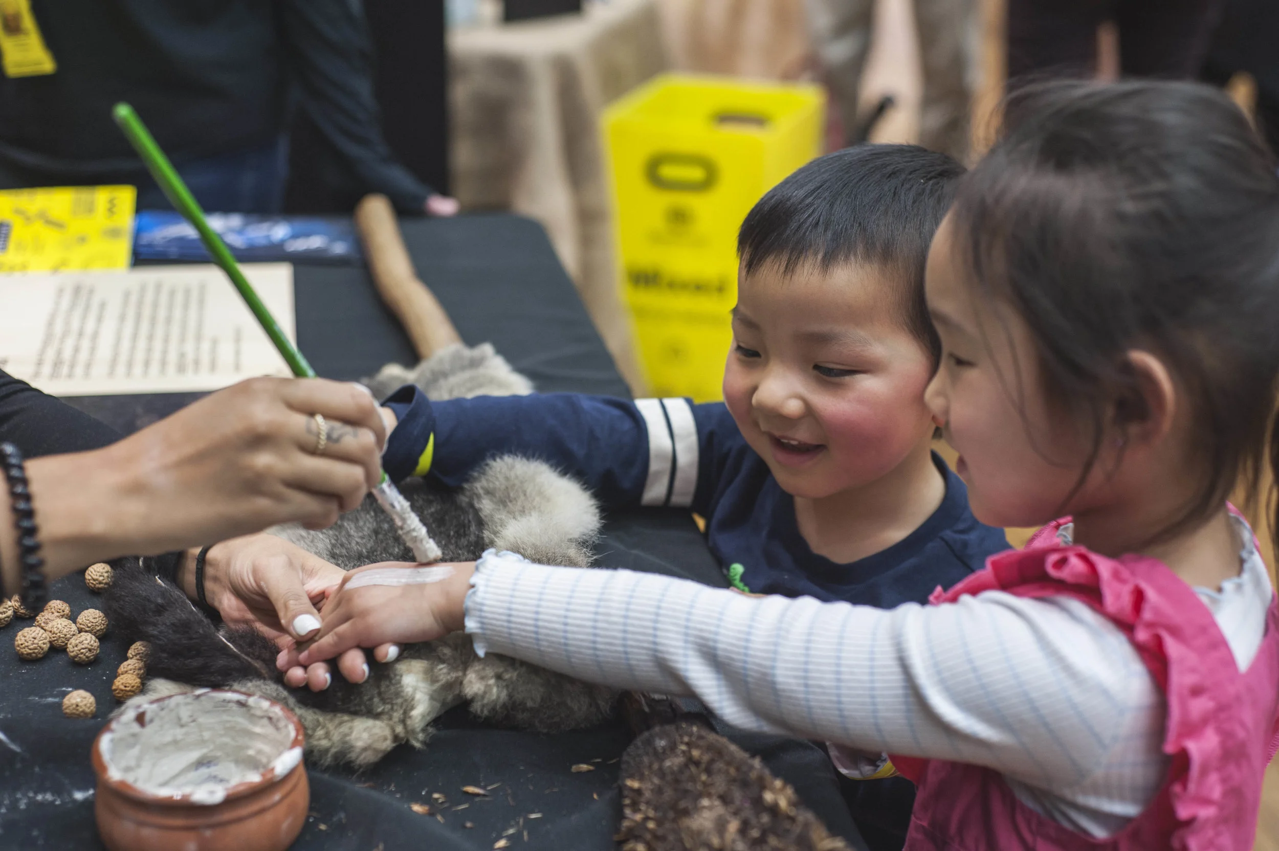 Australian Museum Science Festival