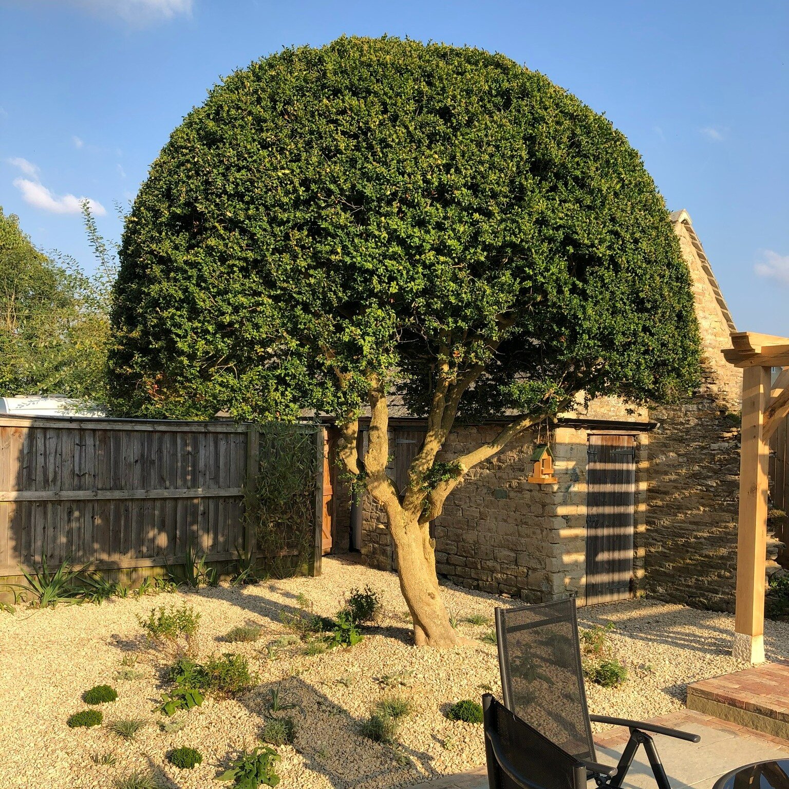 Quite often when planning a new garden, it isn't necessary or desirable to remove everything to create a blank canvas. In our &quot;Contemporary Cotswolds&quot; garden, we retained an existing large Box tree, but lifted the canopy and pruned it to re