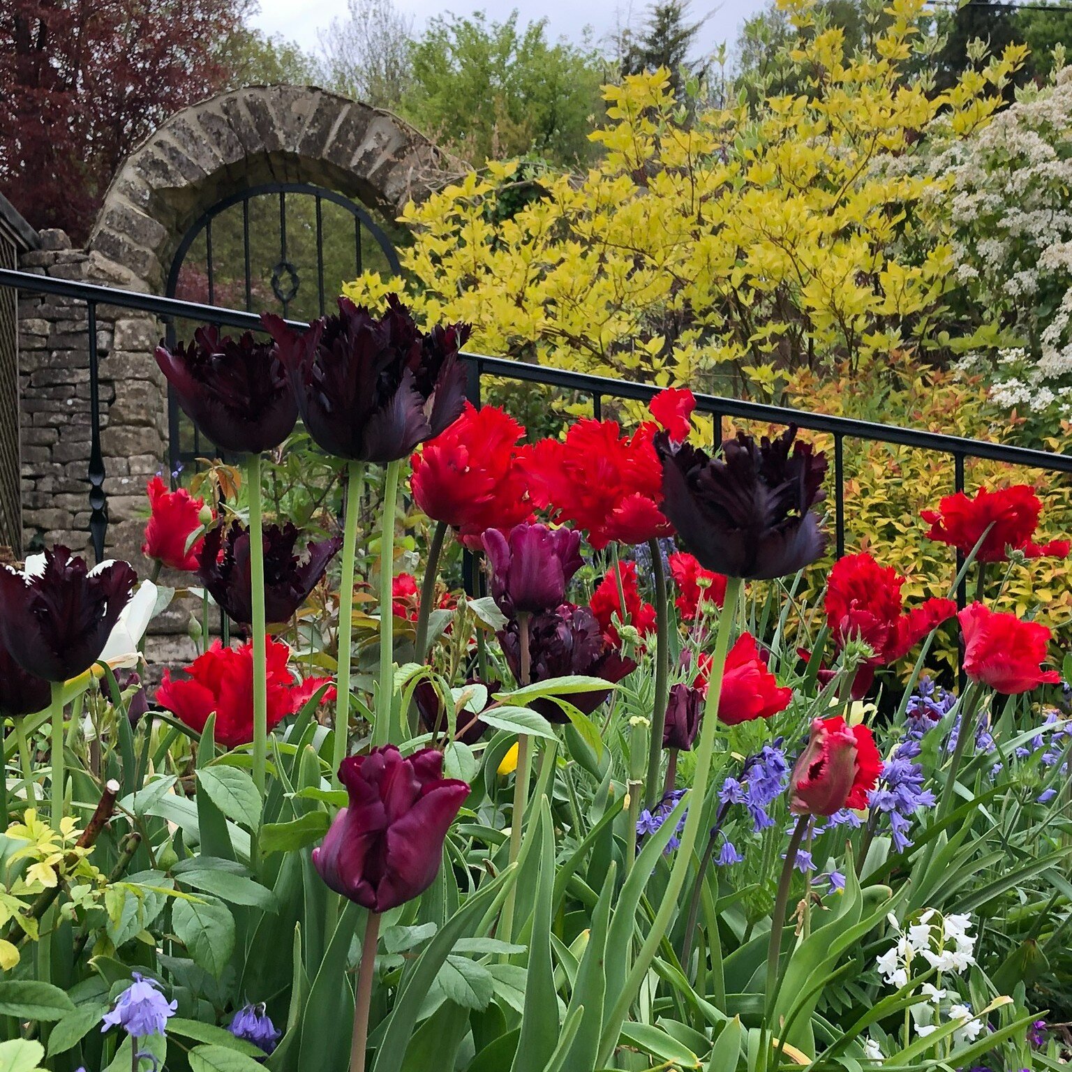We&rsquo;re pleased to offer garden maintenance as part of our services, ensuring our clients&rsquo; gardens look their best all year round. Five years ago, we came to the rescue of this Cotswold garden in Bisley. As well as maintaining the establish
