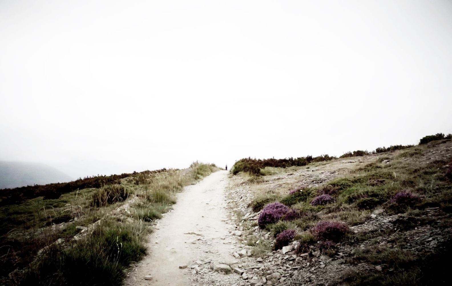 theroadahead.jpg