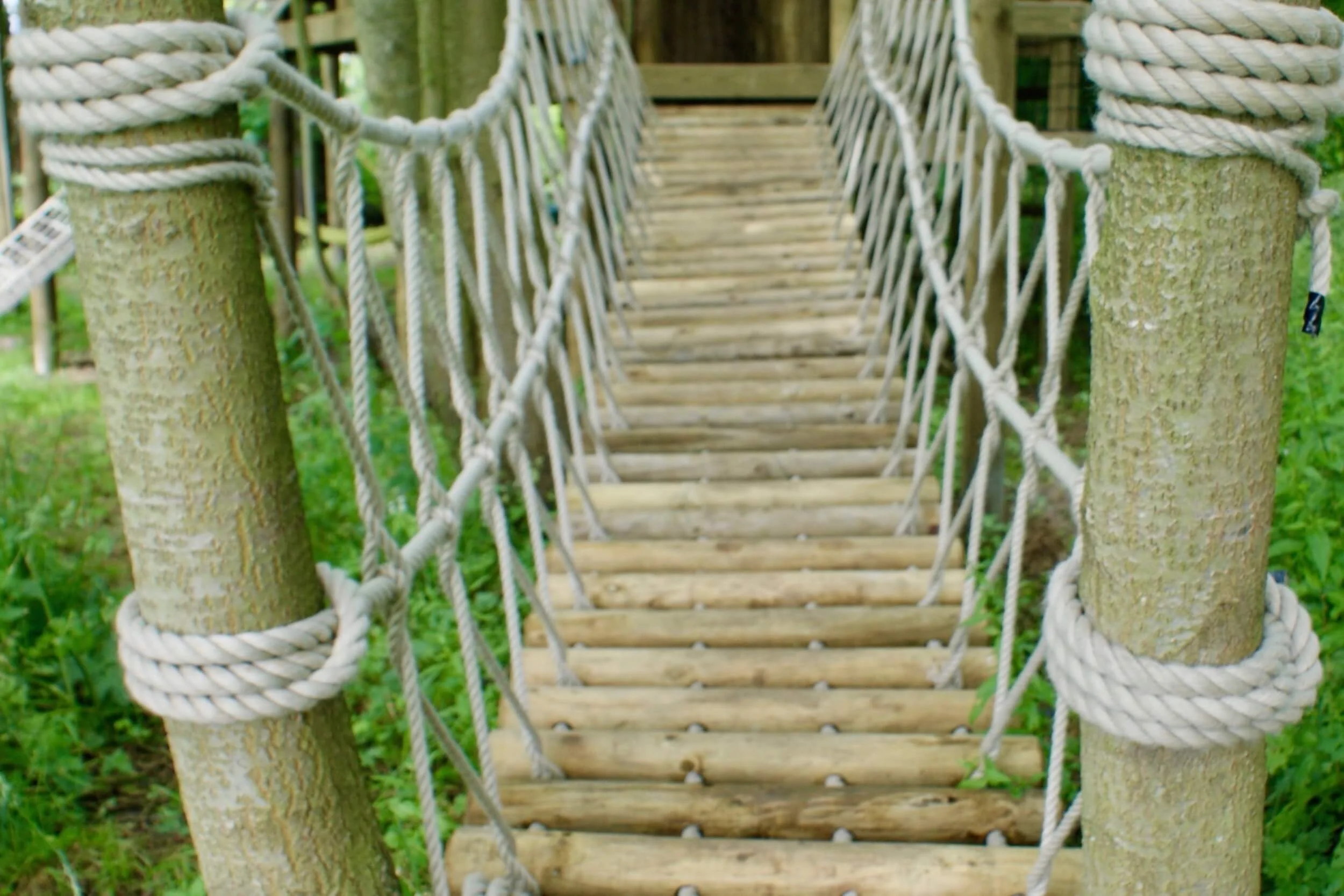 Log Rope Bridge entrance