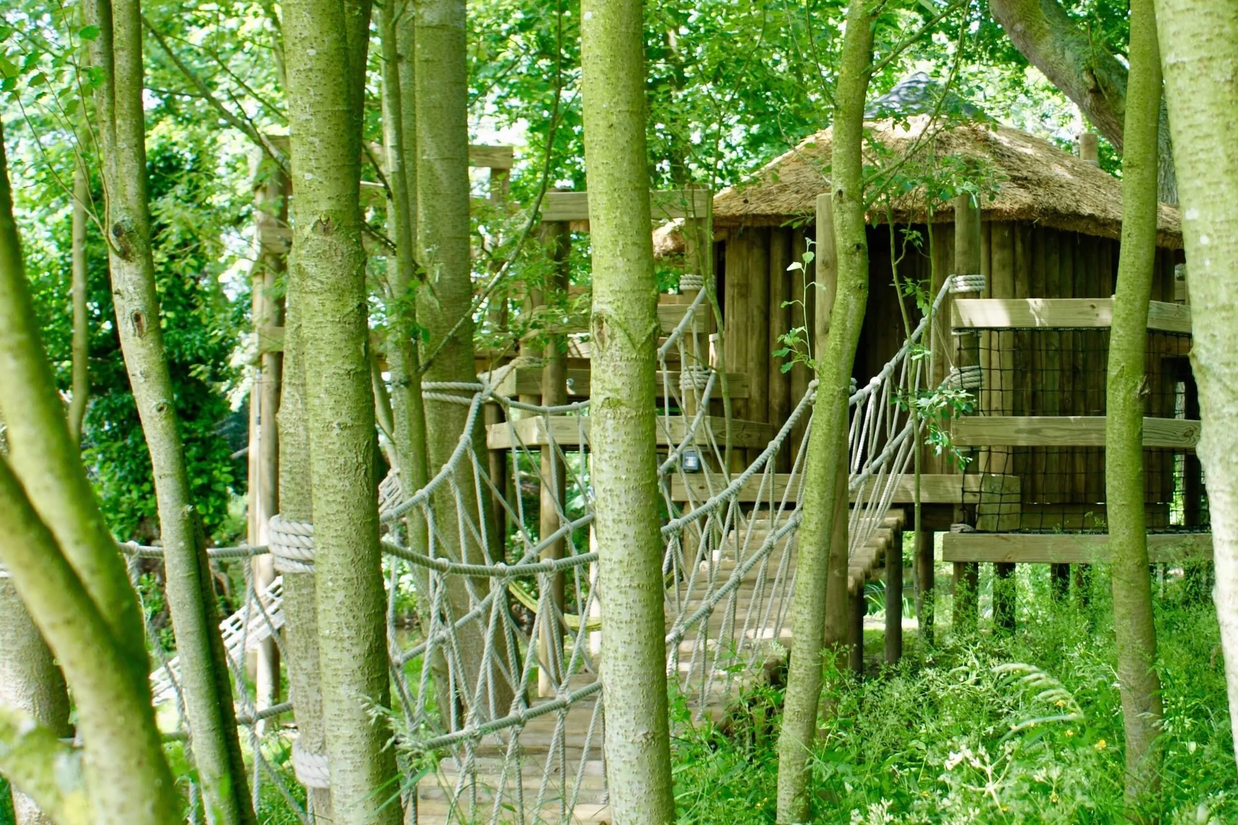 Secret woodland treehouse Log Rope Bridge