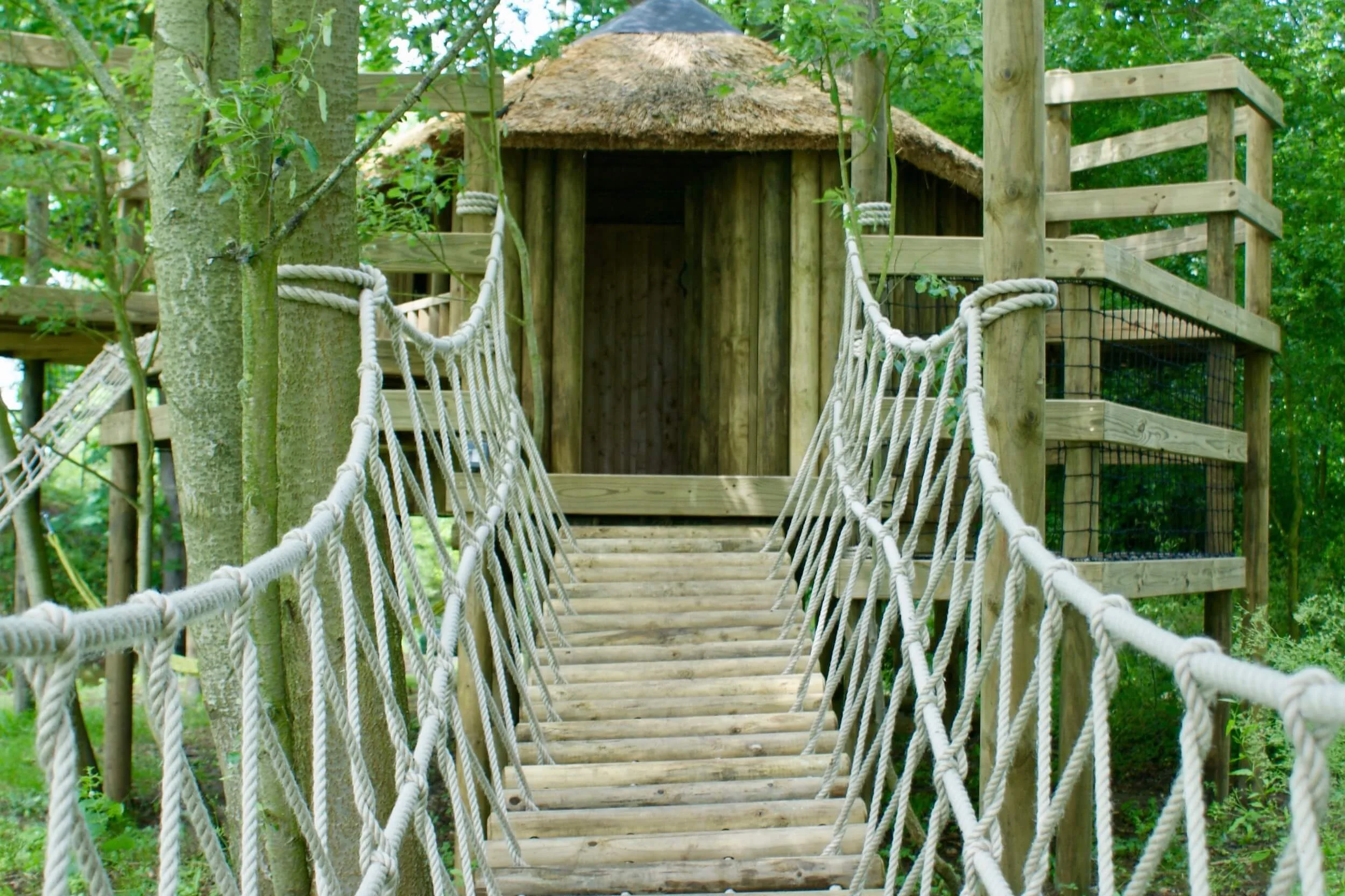 Treehouse entrance and balustrade rope work