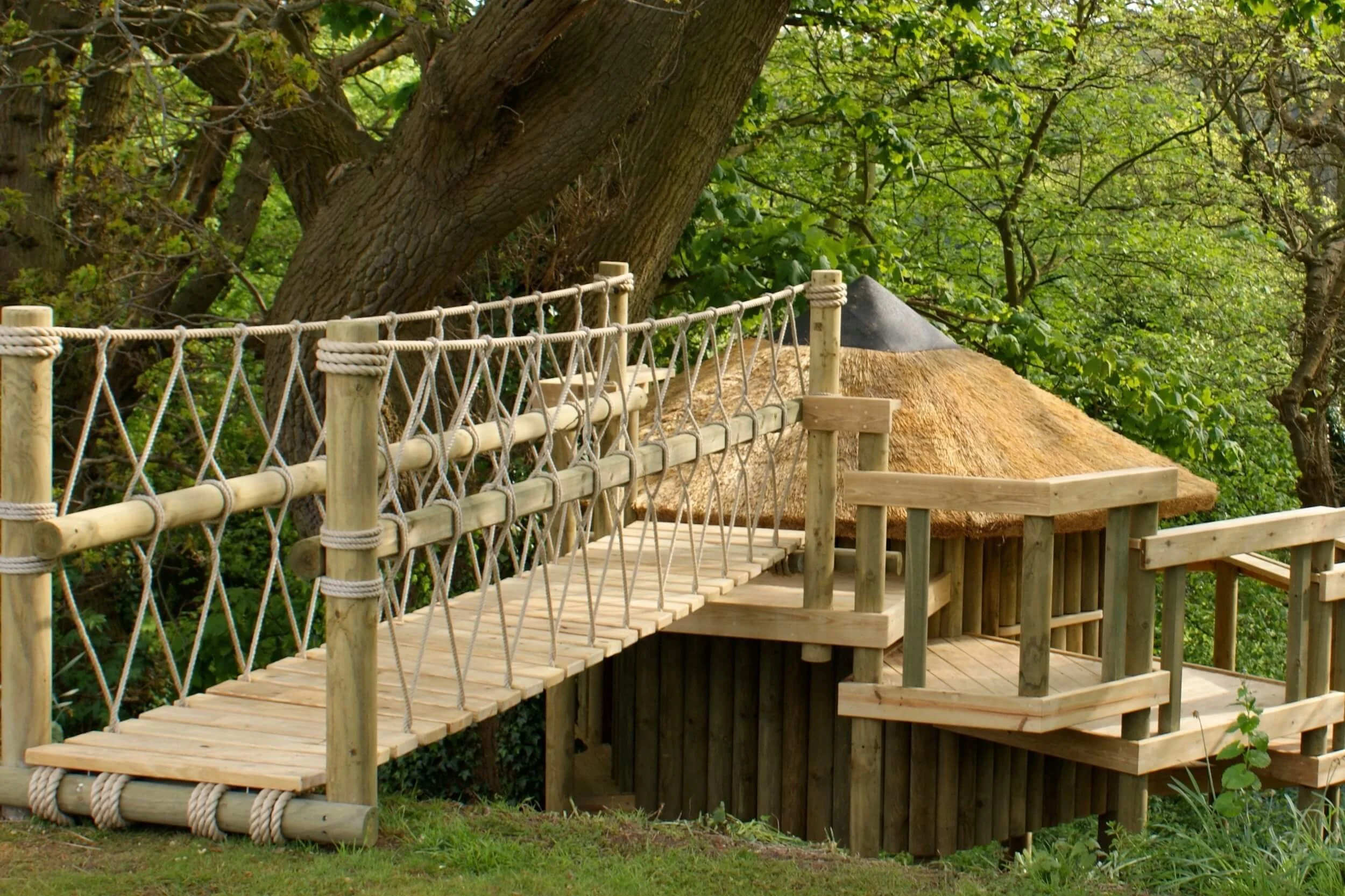 Rope Bridge leading to thatched roof treehouse