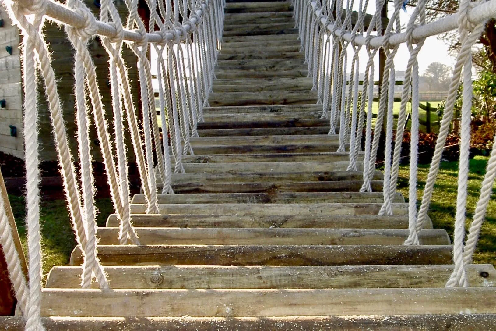 log Rope Bridge log steps