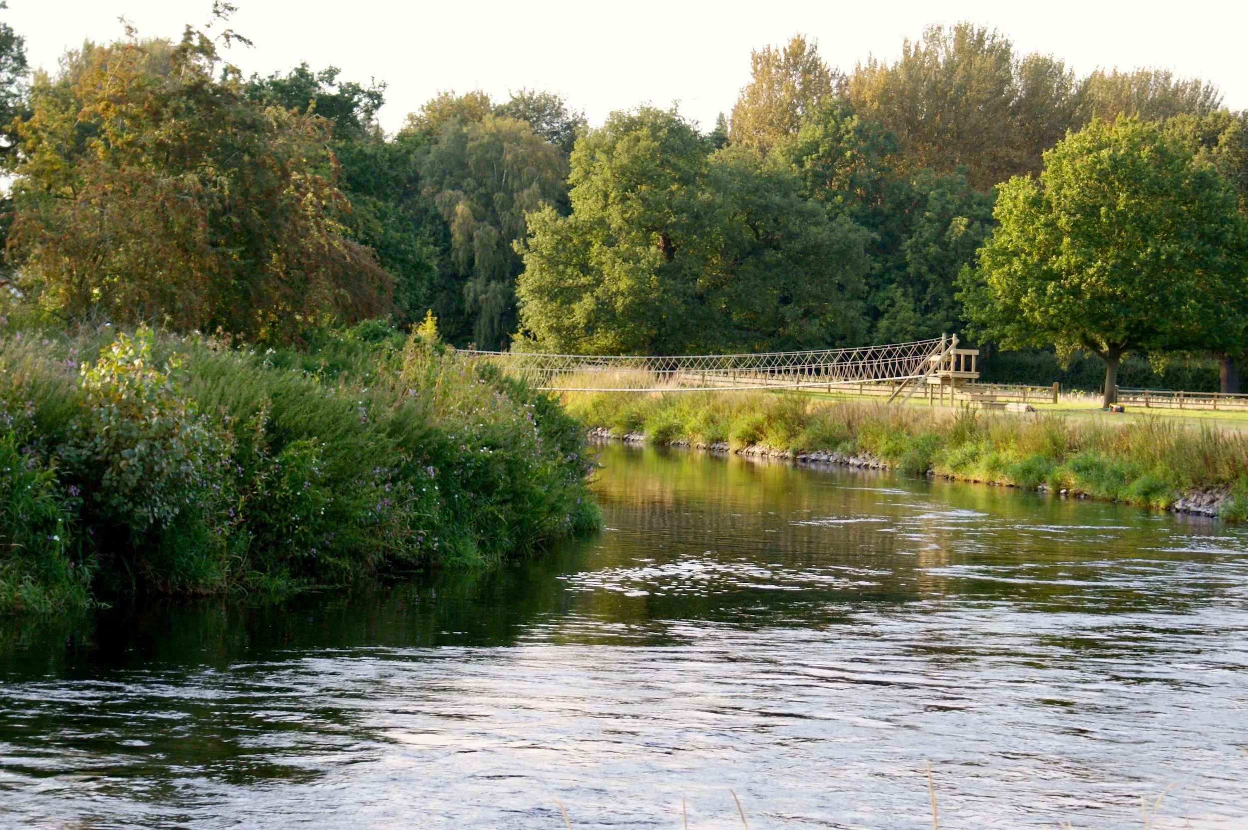 River Rope Bridge