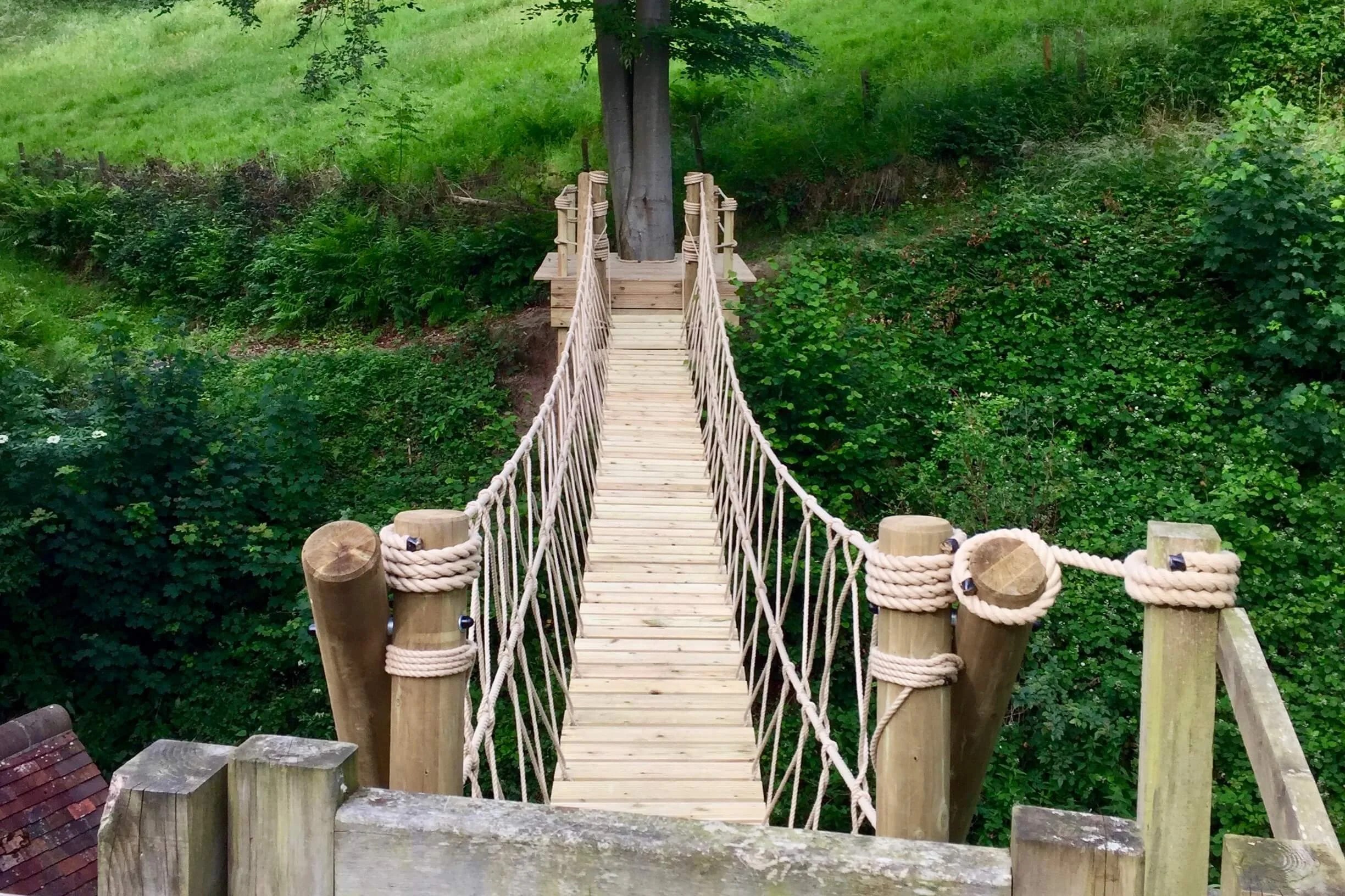 Platform to tree deck Rope Bridge