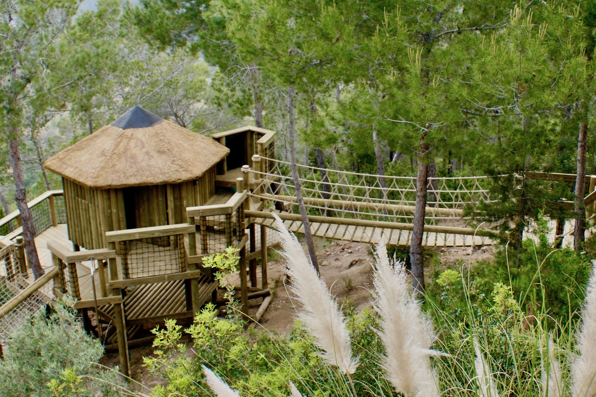Treehouse and Rope Bridge on Ibiza hillside
