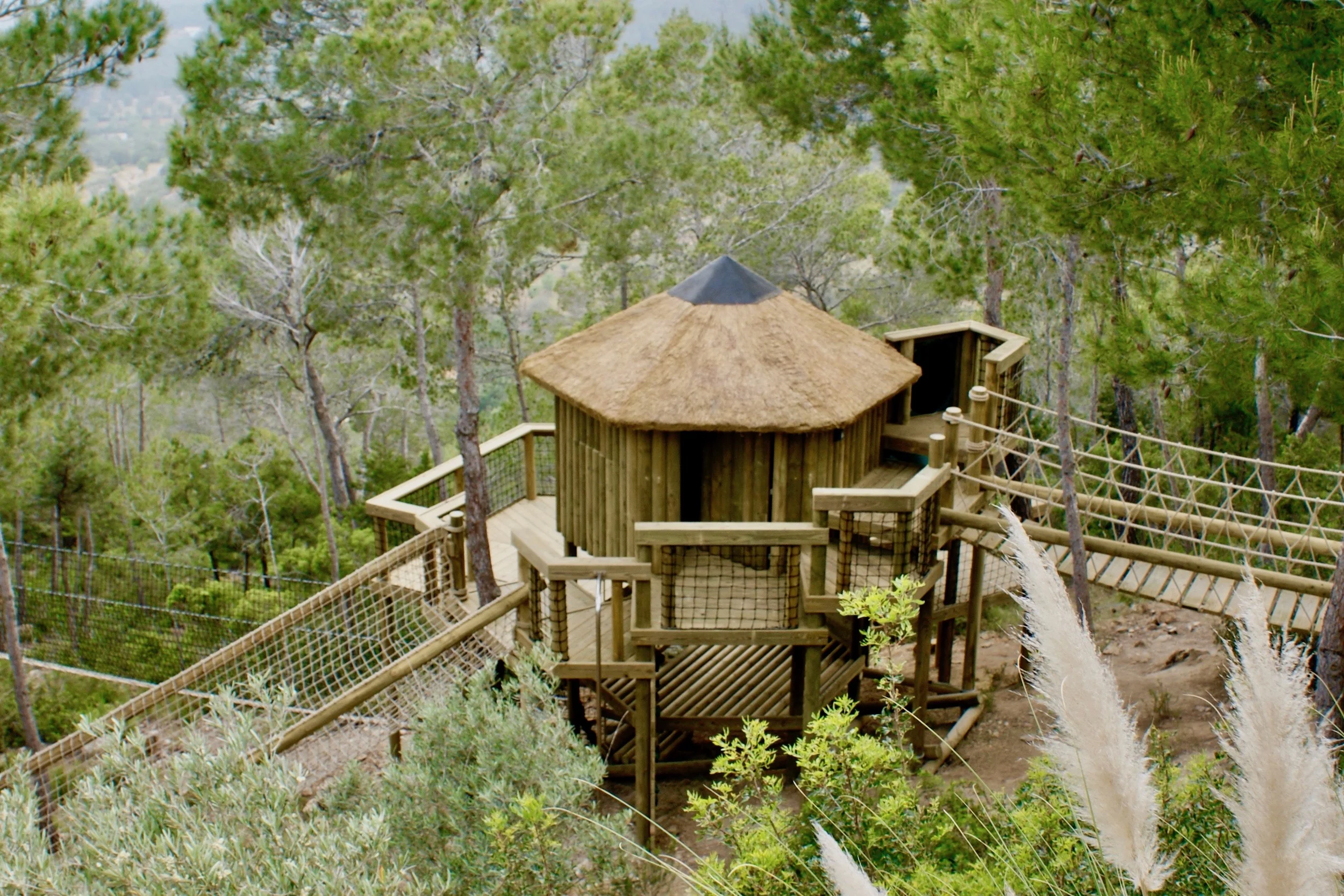 Treehouse and Rope Bridge on Ibiza hillside