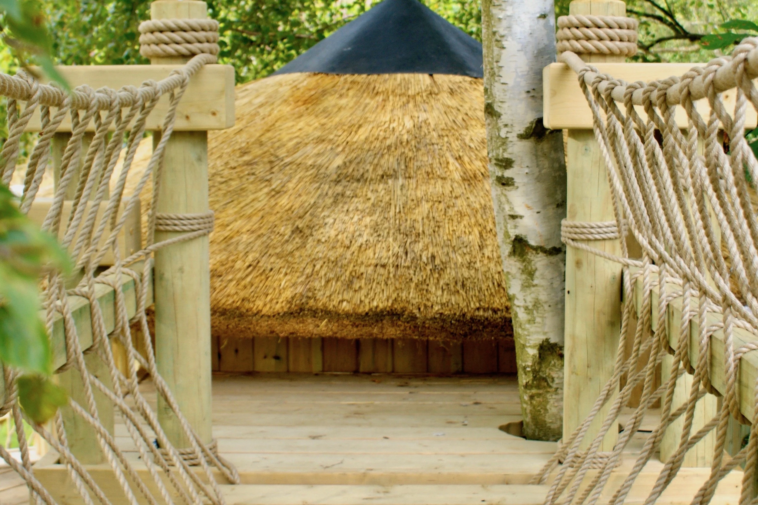 Treehouse deck Rope Bridge