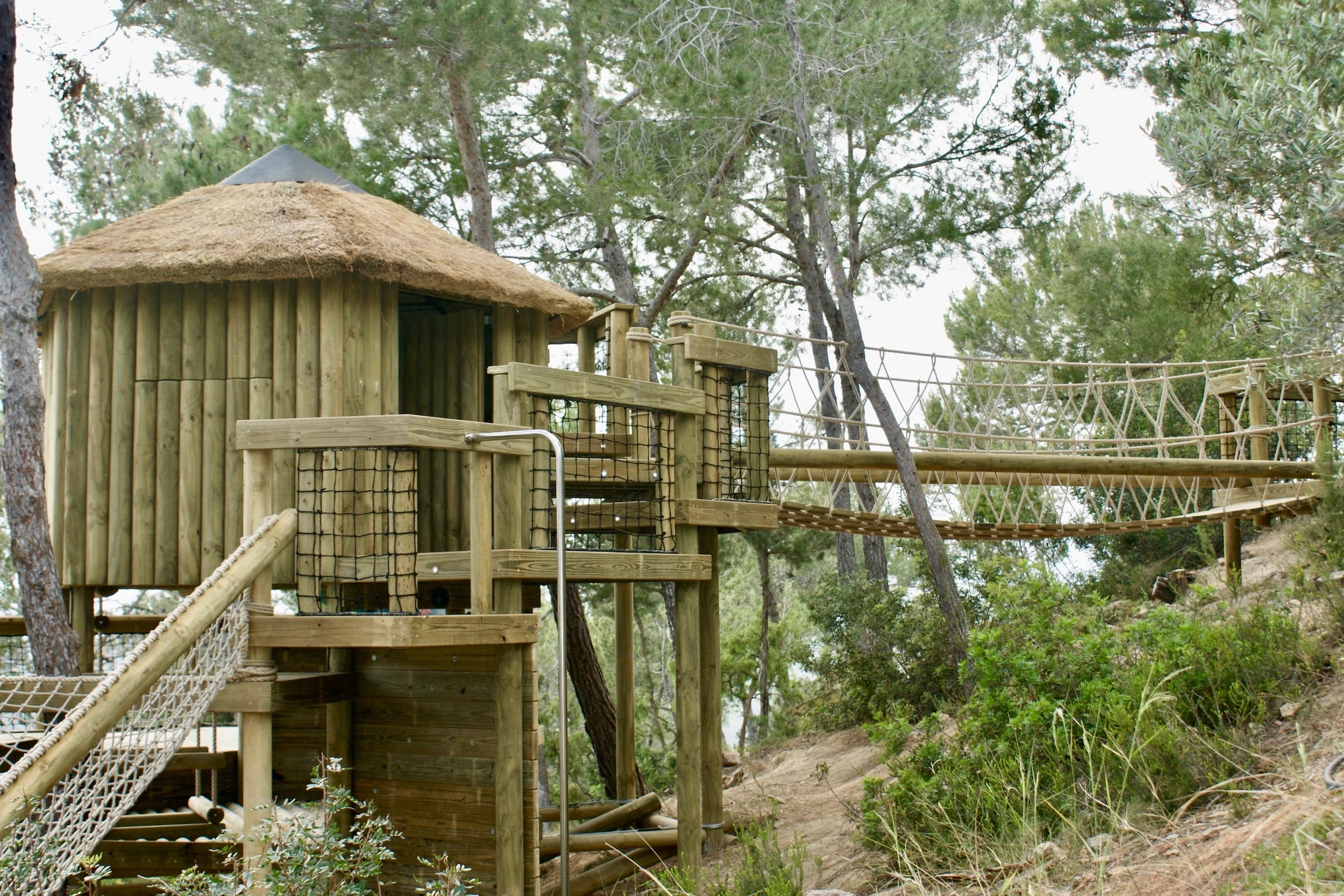 Rope Bridge and treehouse on many levels