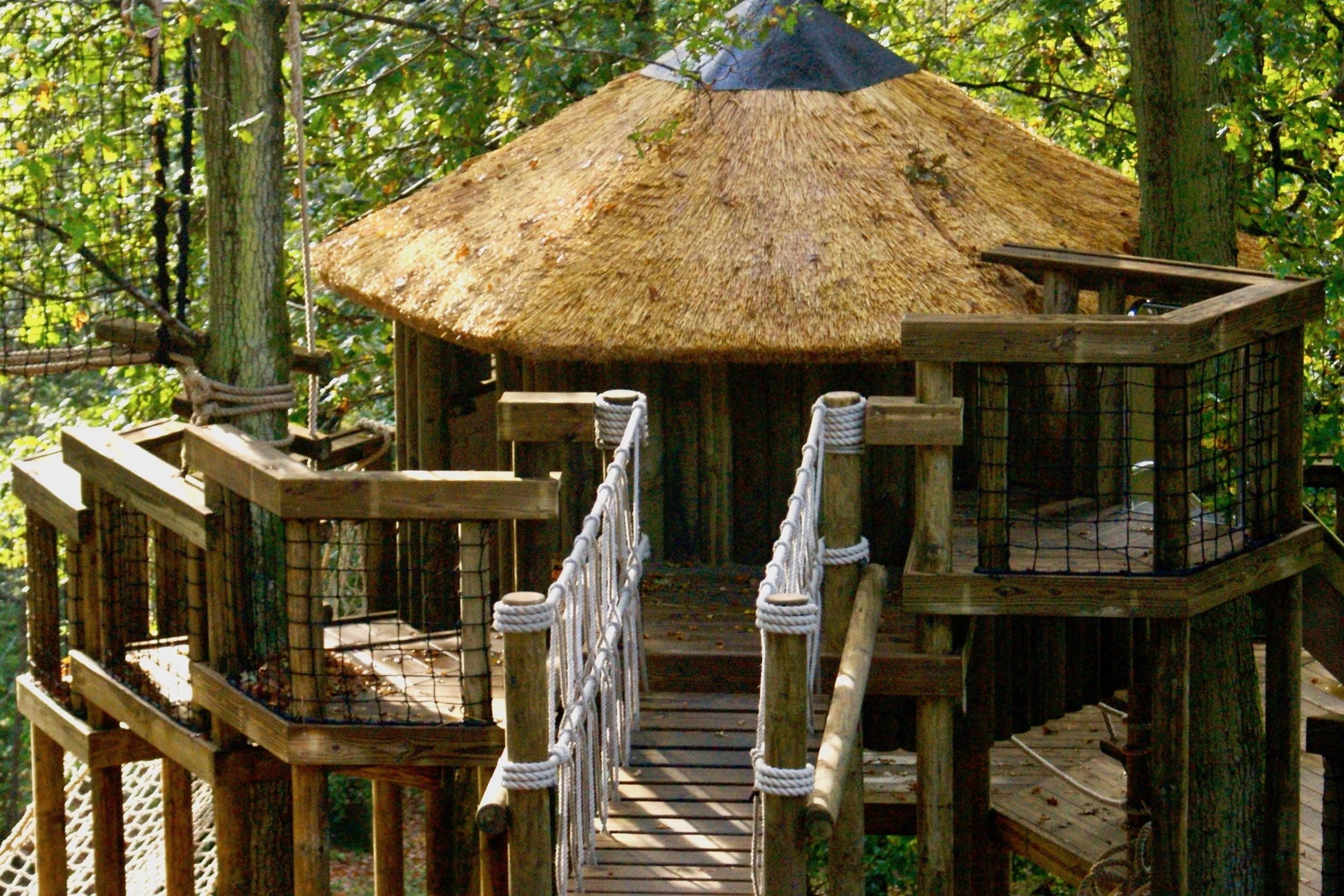 Kids treehouse and Rope Bridge entrance