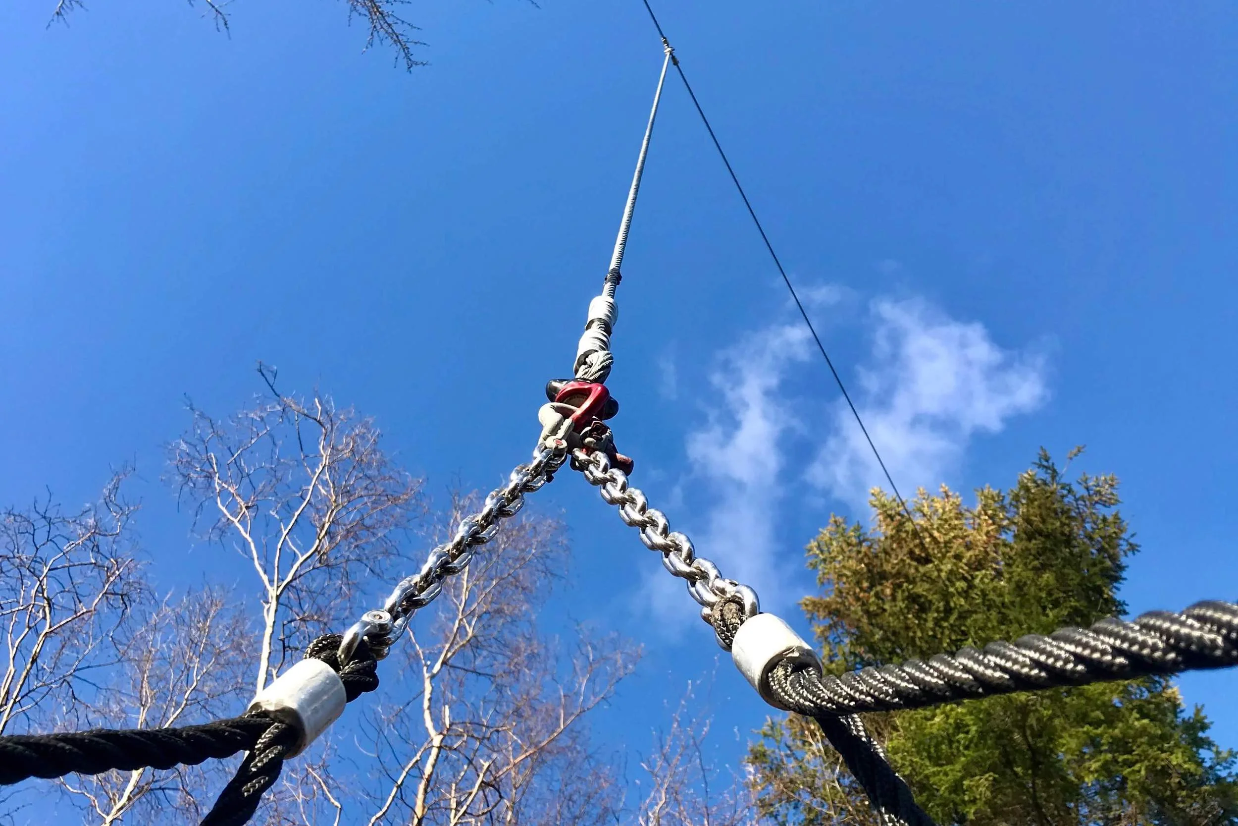 Nest Swing swivel fixings and high steel cable above