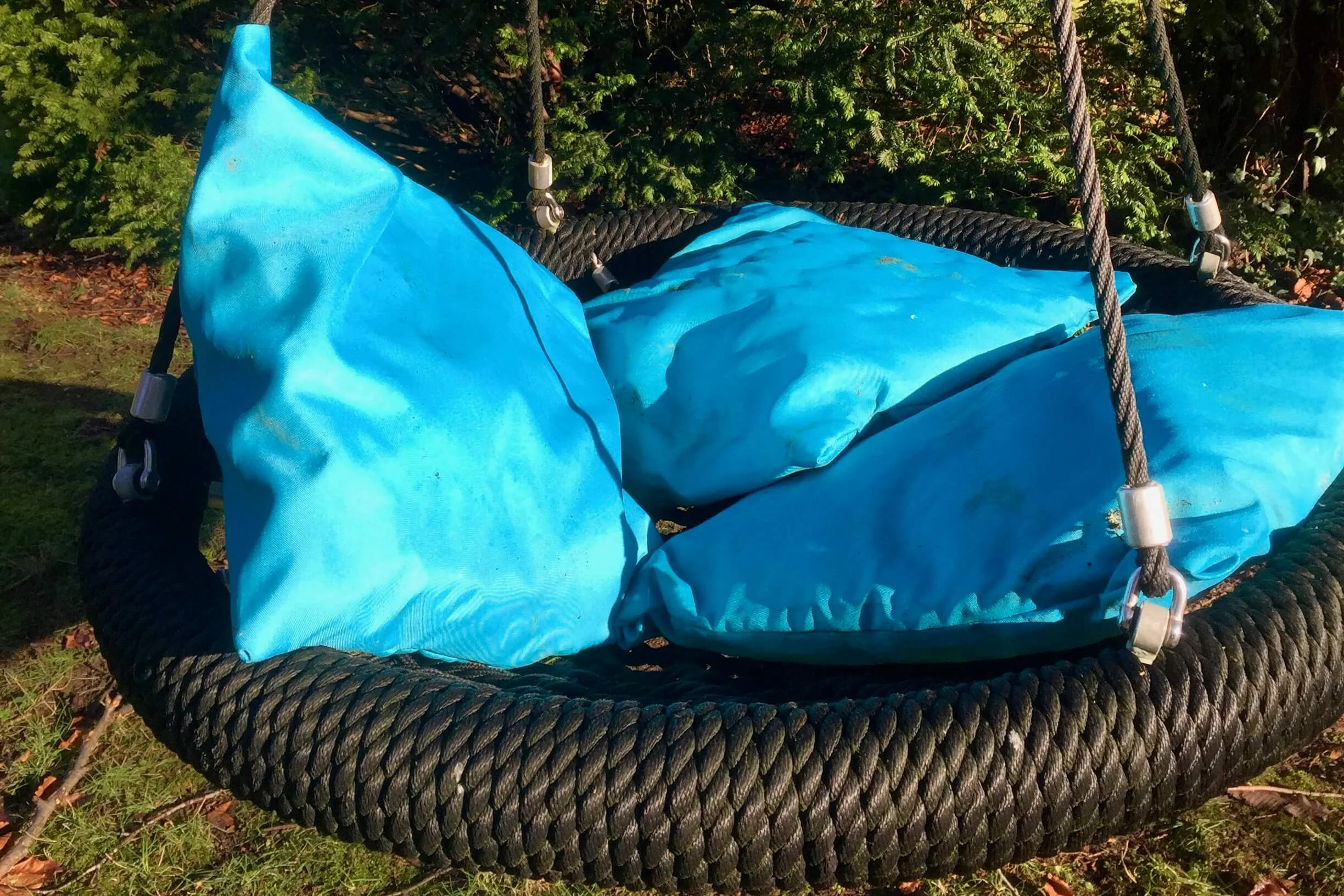 Blue cushions and Nest Swing