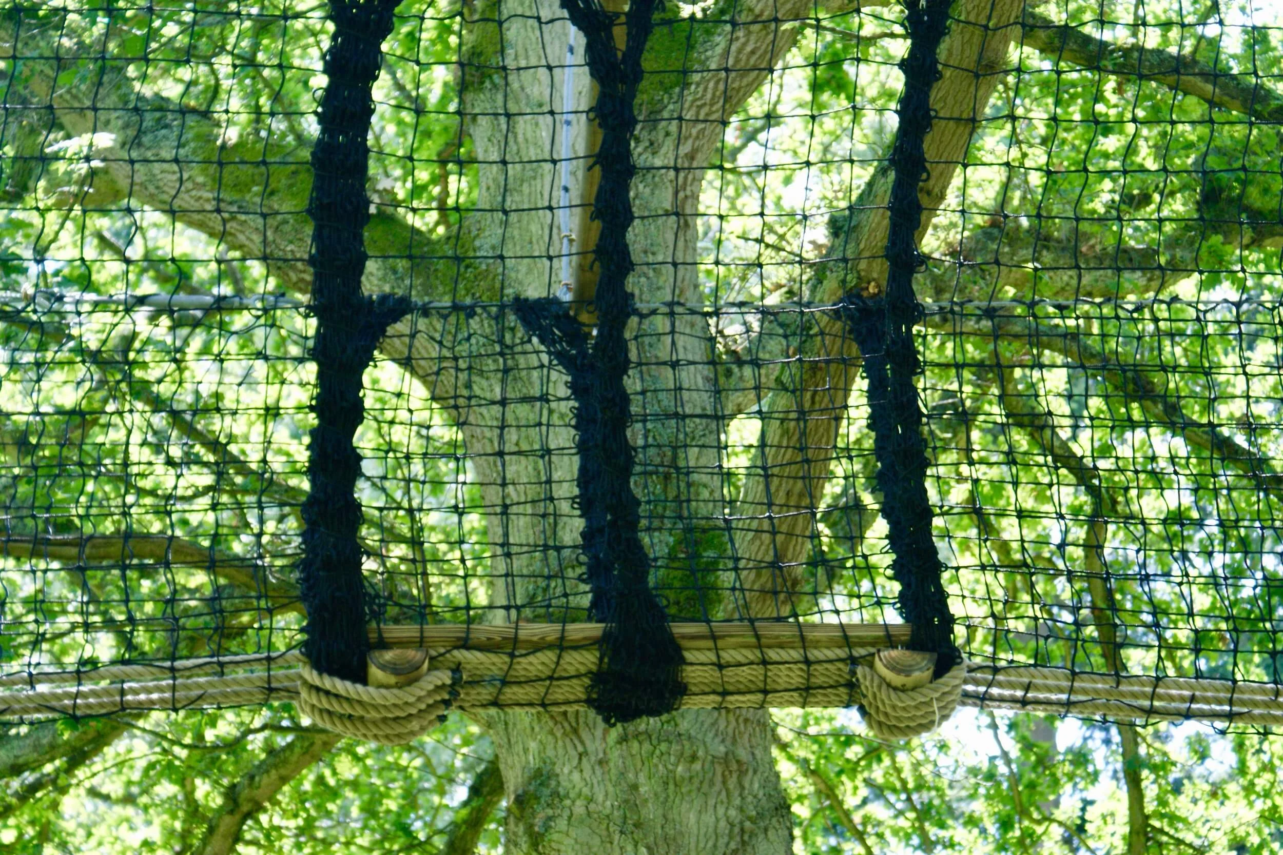 Tree-walkway platform