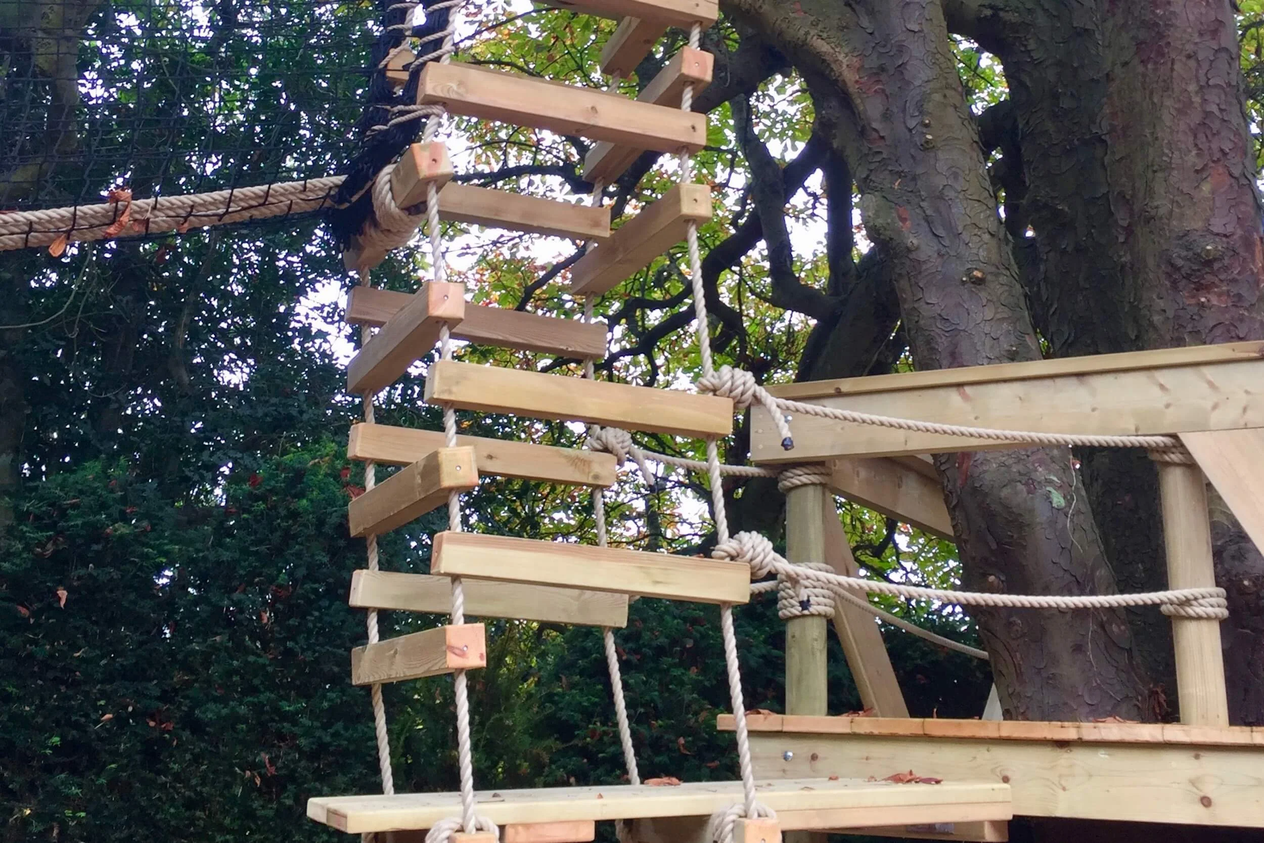 Tree-Deck platform and Rope Ladder