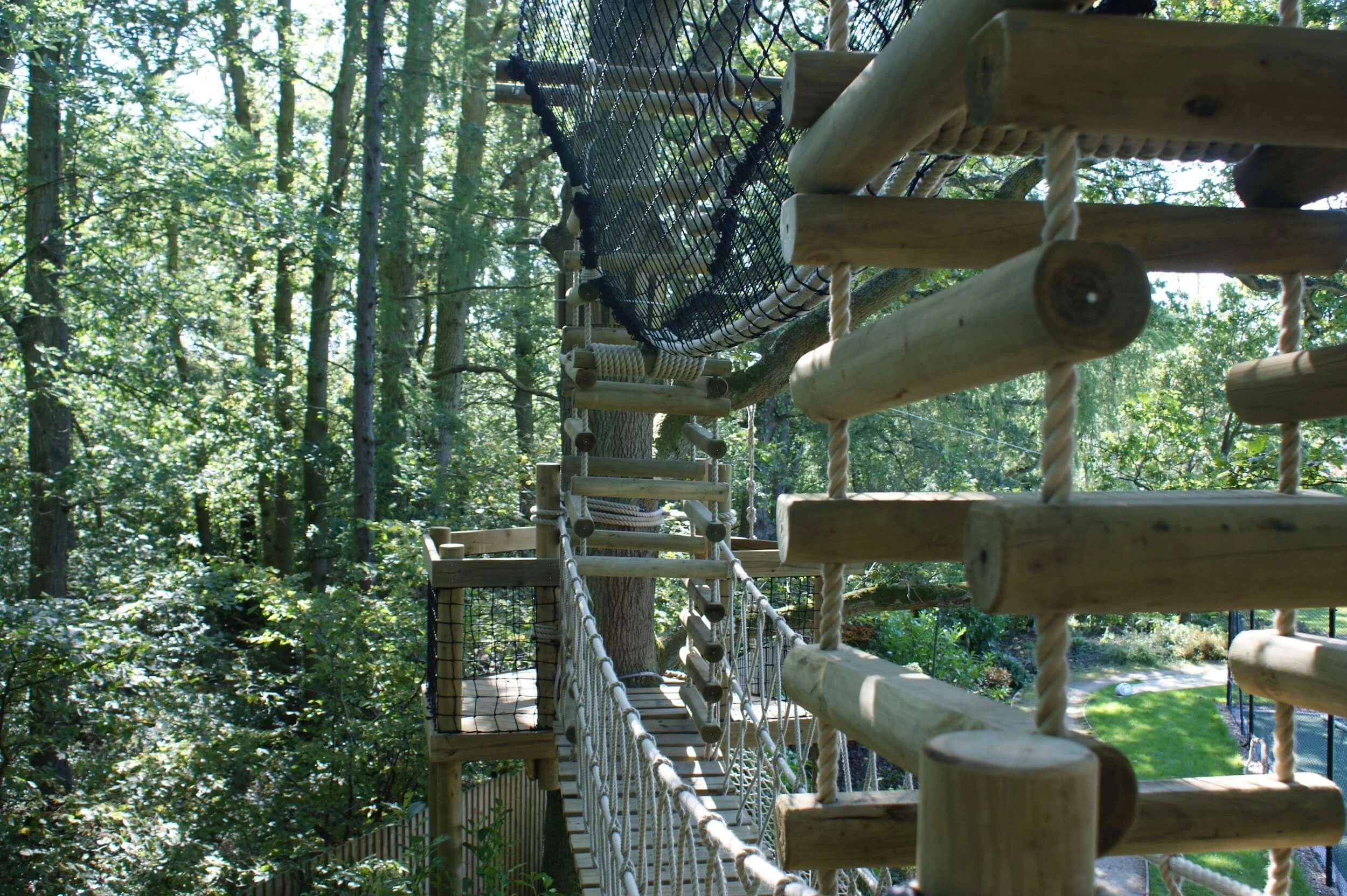 4sided Rope Ladders + platforms — Treehouses, Rope Bridges, Treetop