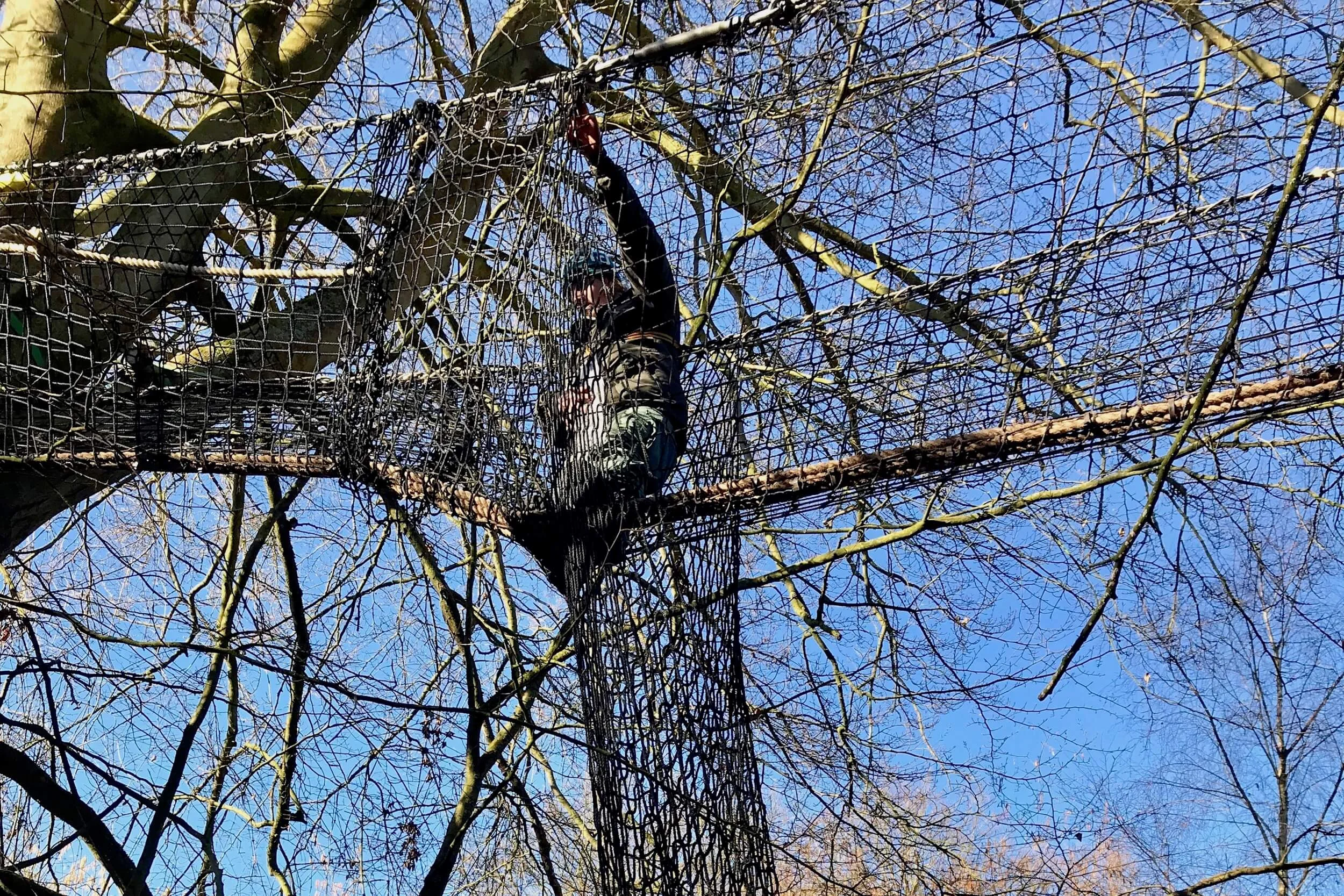 Tree Top Trail installation