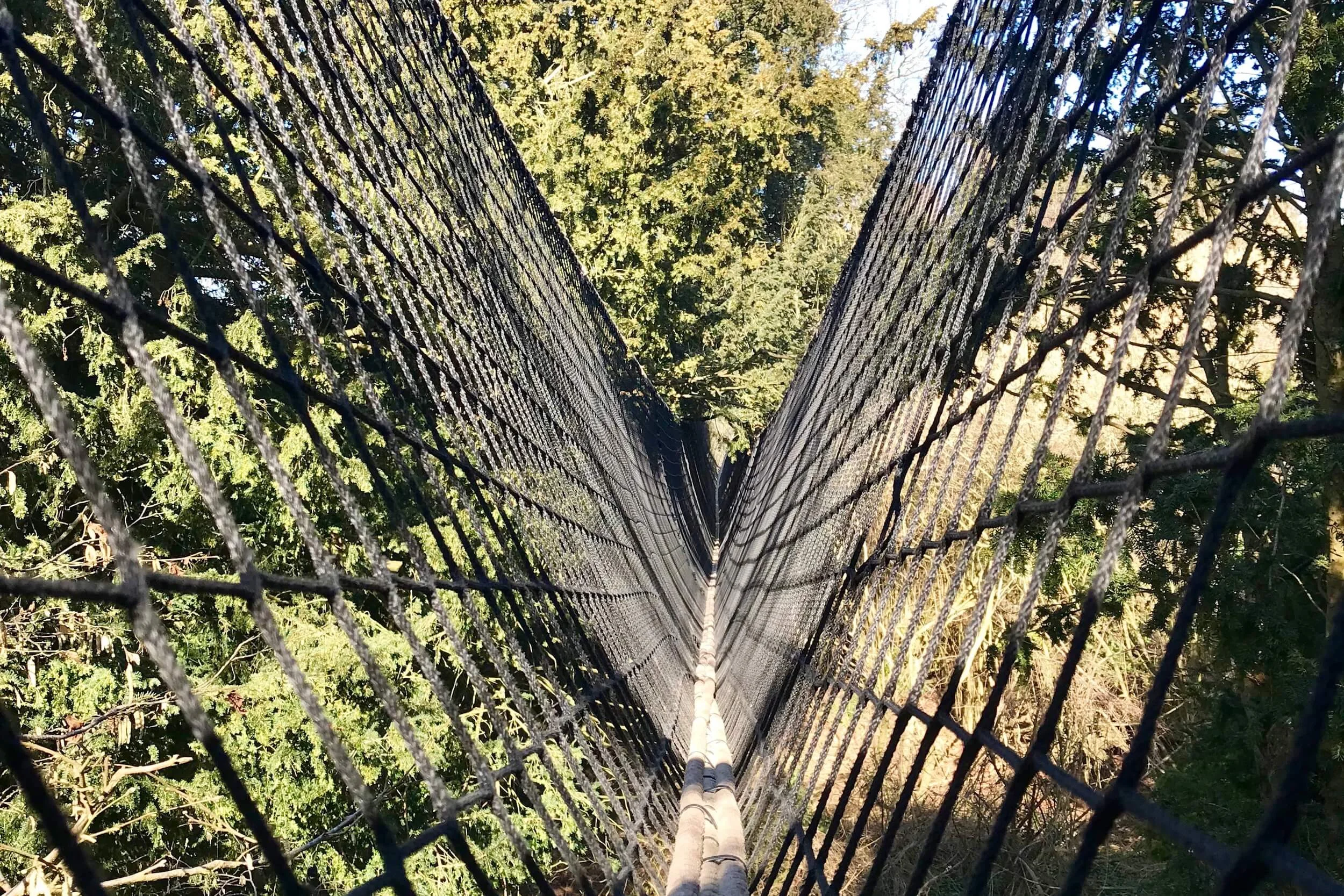 'V' shaped, netted Tree Top Trail