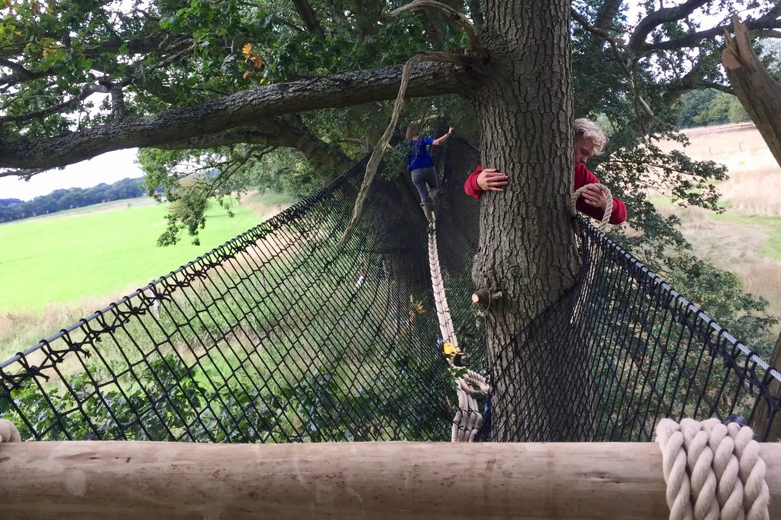 Rope work around tree in Tree-top Walkway