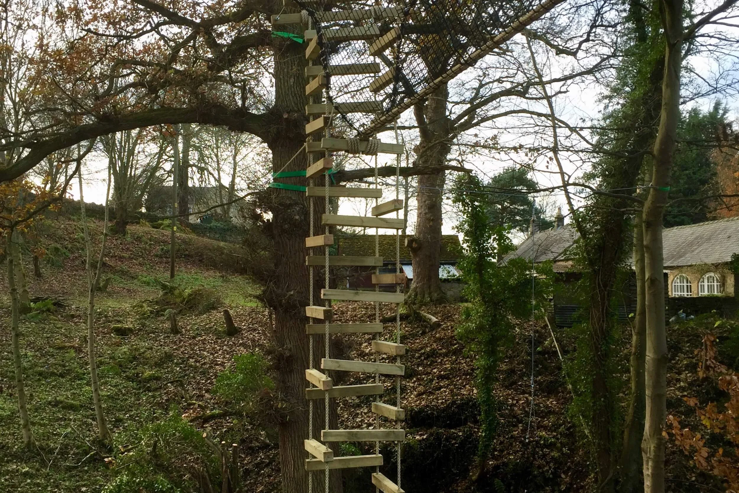 4-sided Tree-top Walkway