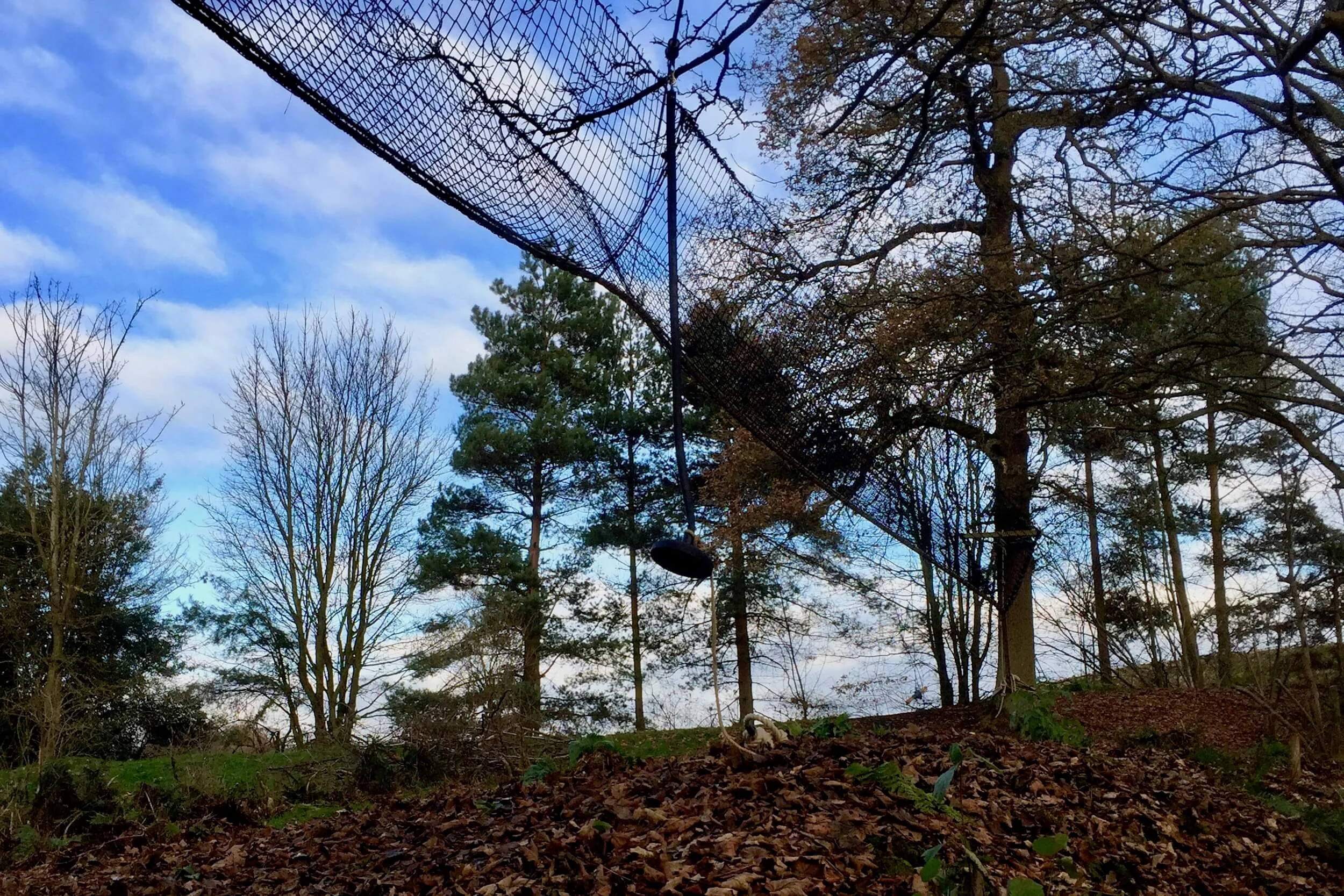 Tree-top Walkway and Zip Wire