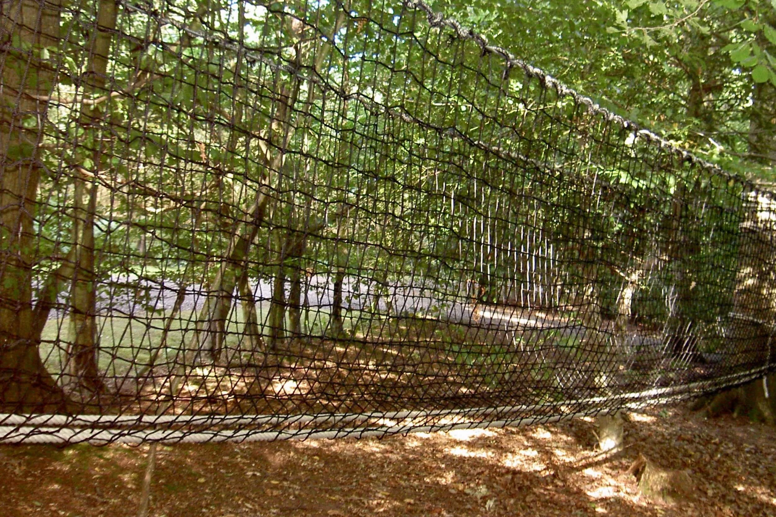 Woodland Hammock Bridge