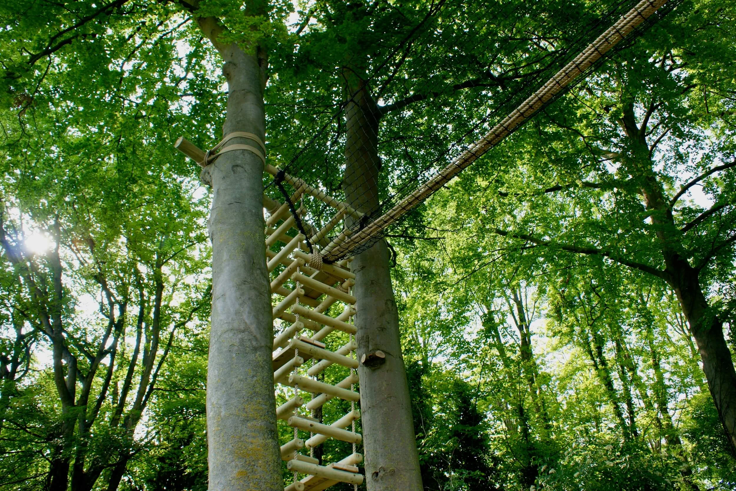 Big Chunky 4-sided Rope and Tree-top Walkway