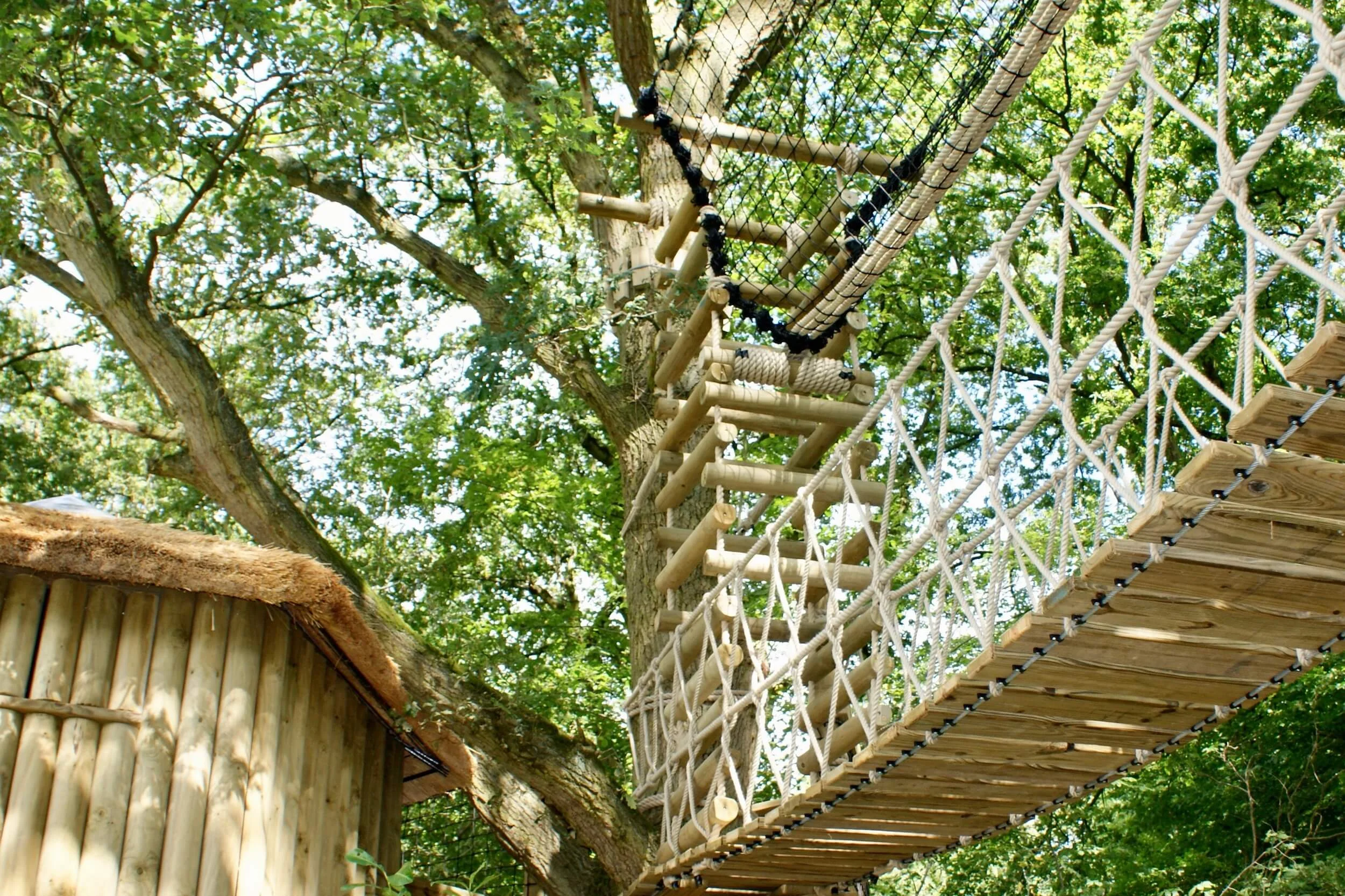 Garden Hammock and Rope Bridges