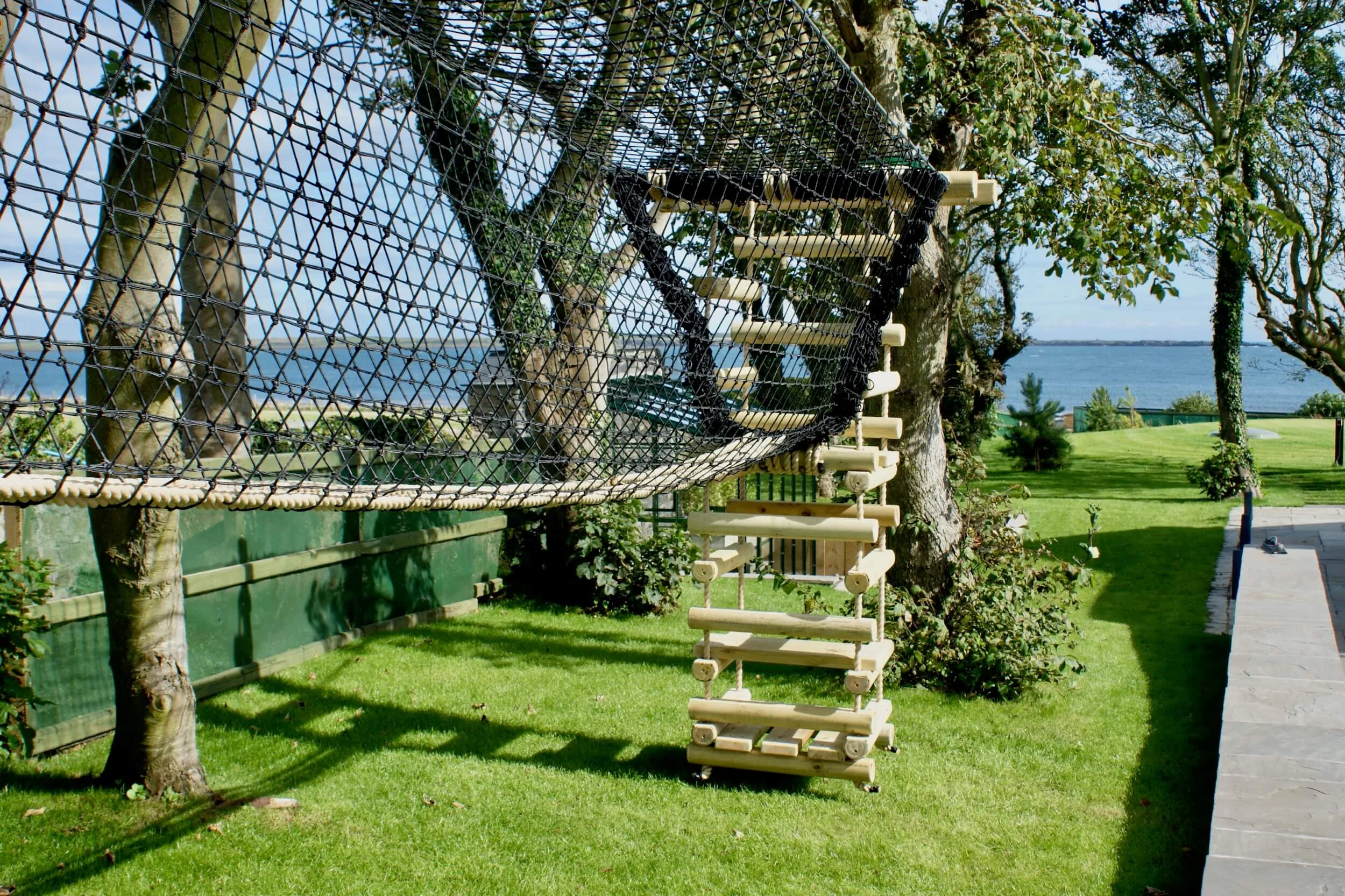 Hammock Bridge and Rope Ladder