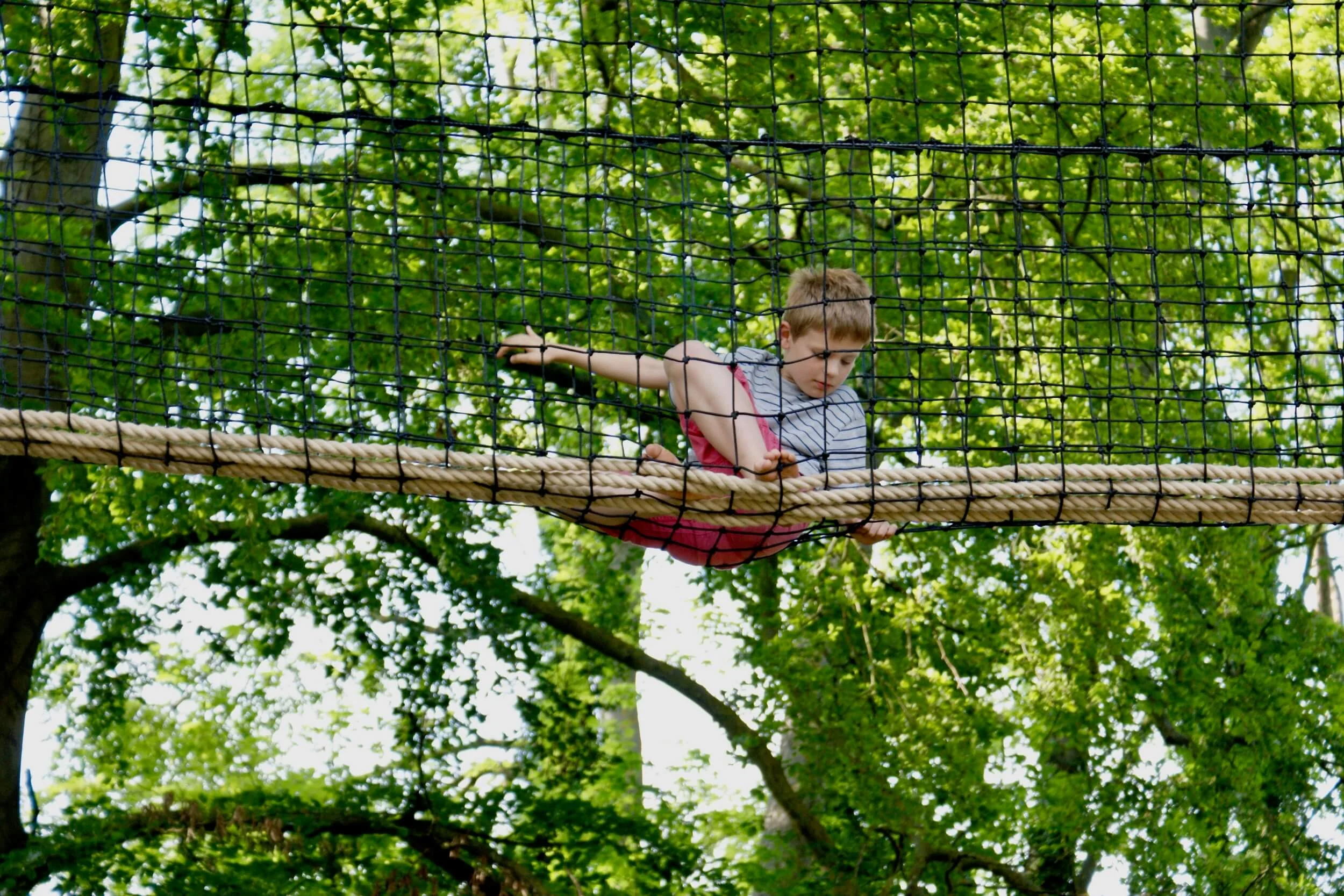 Boy sitting in huge Hammock Bridge