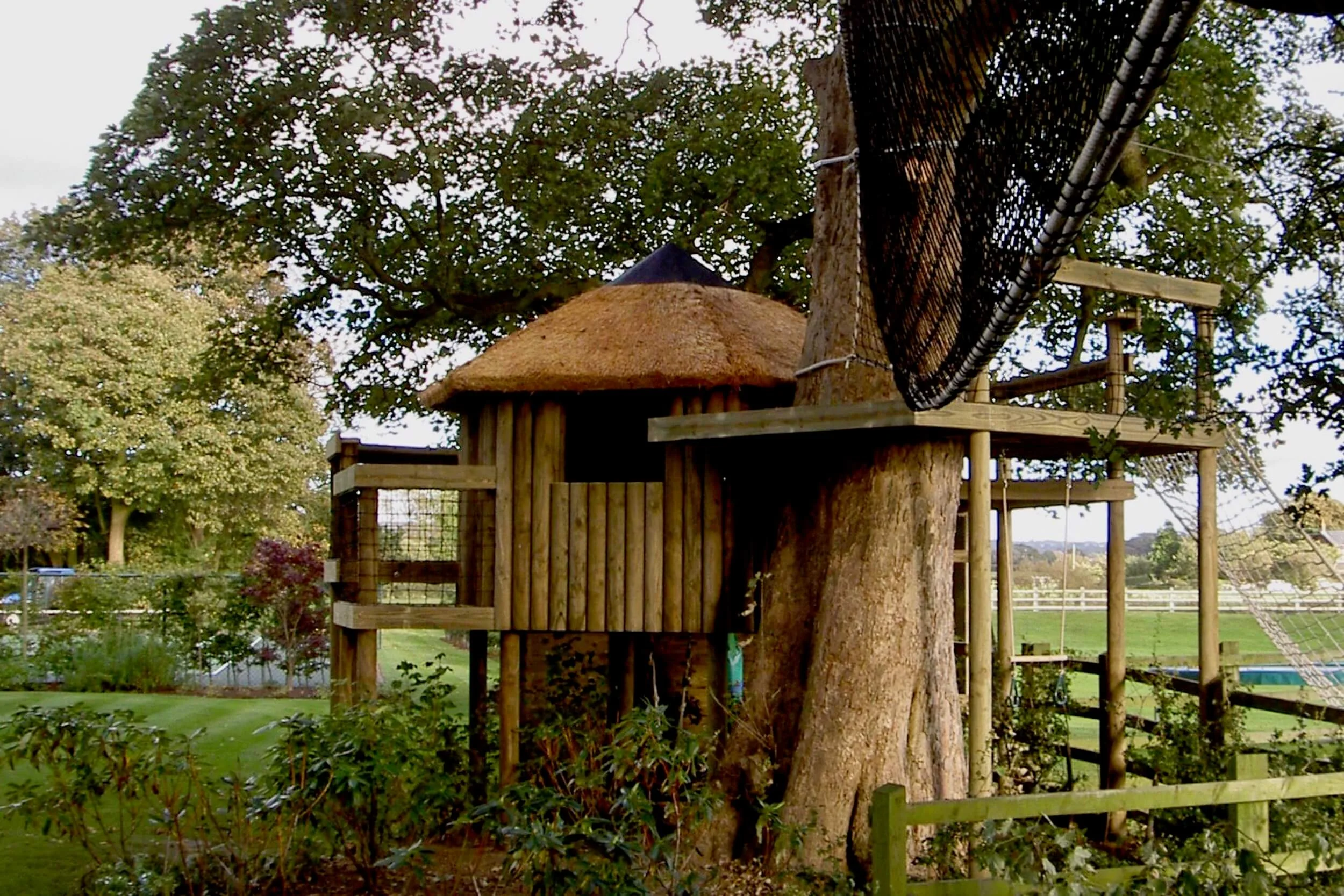 Treehouse and Hammock Bridge