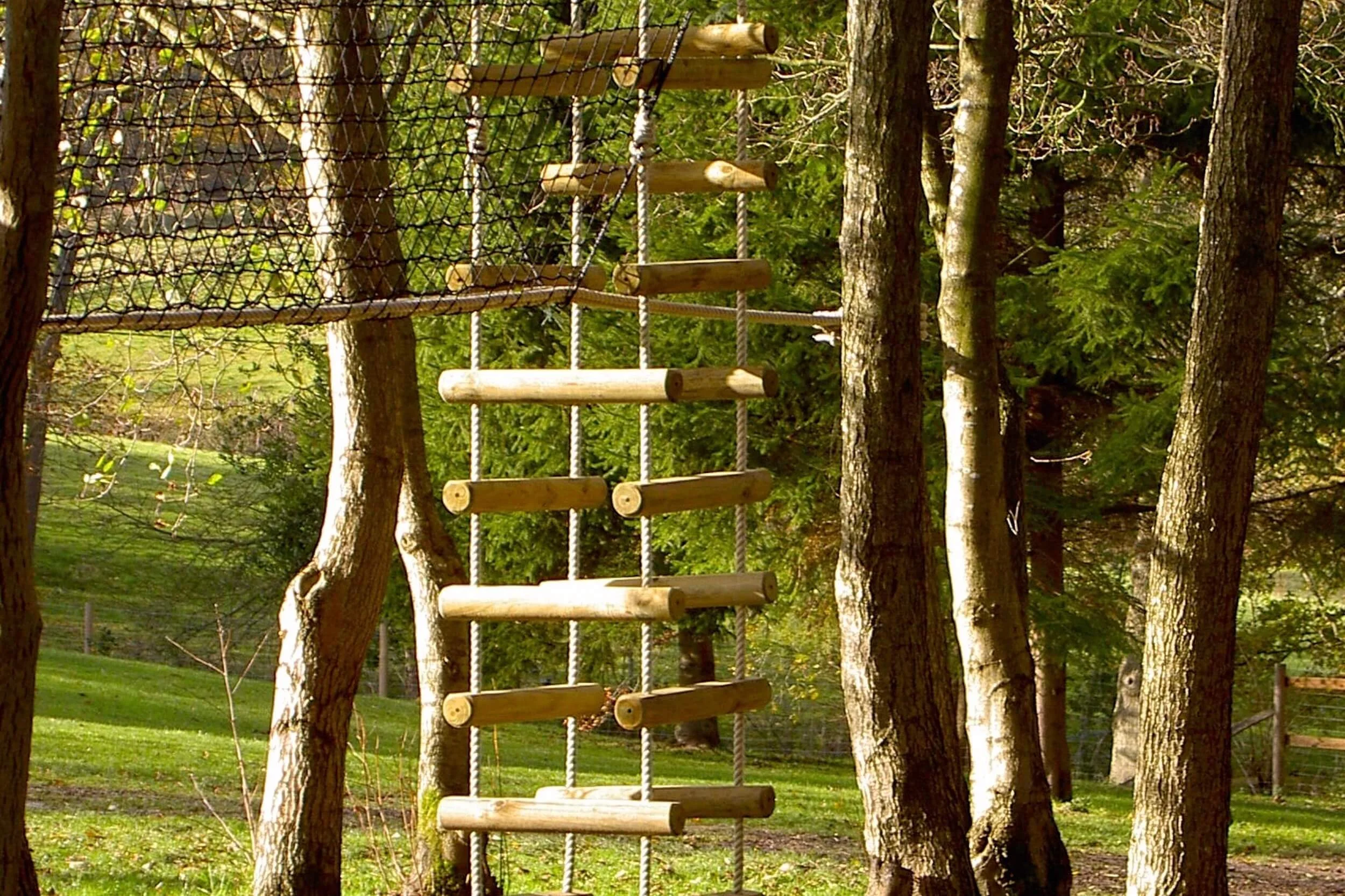 Hammock Bridge leading to a Rope Ladder