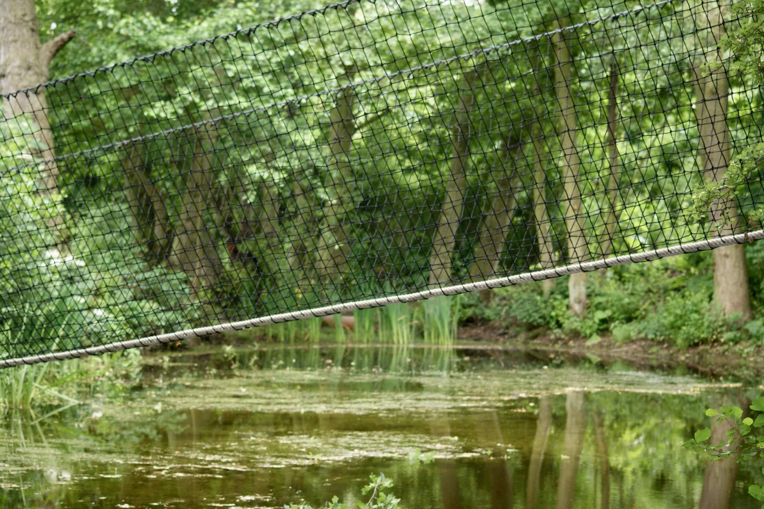 Hammock Bridge across a lake