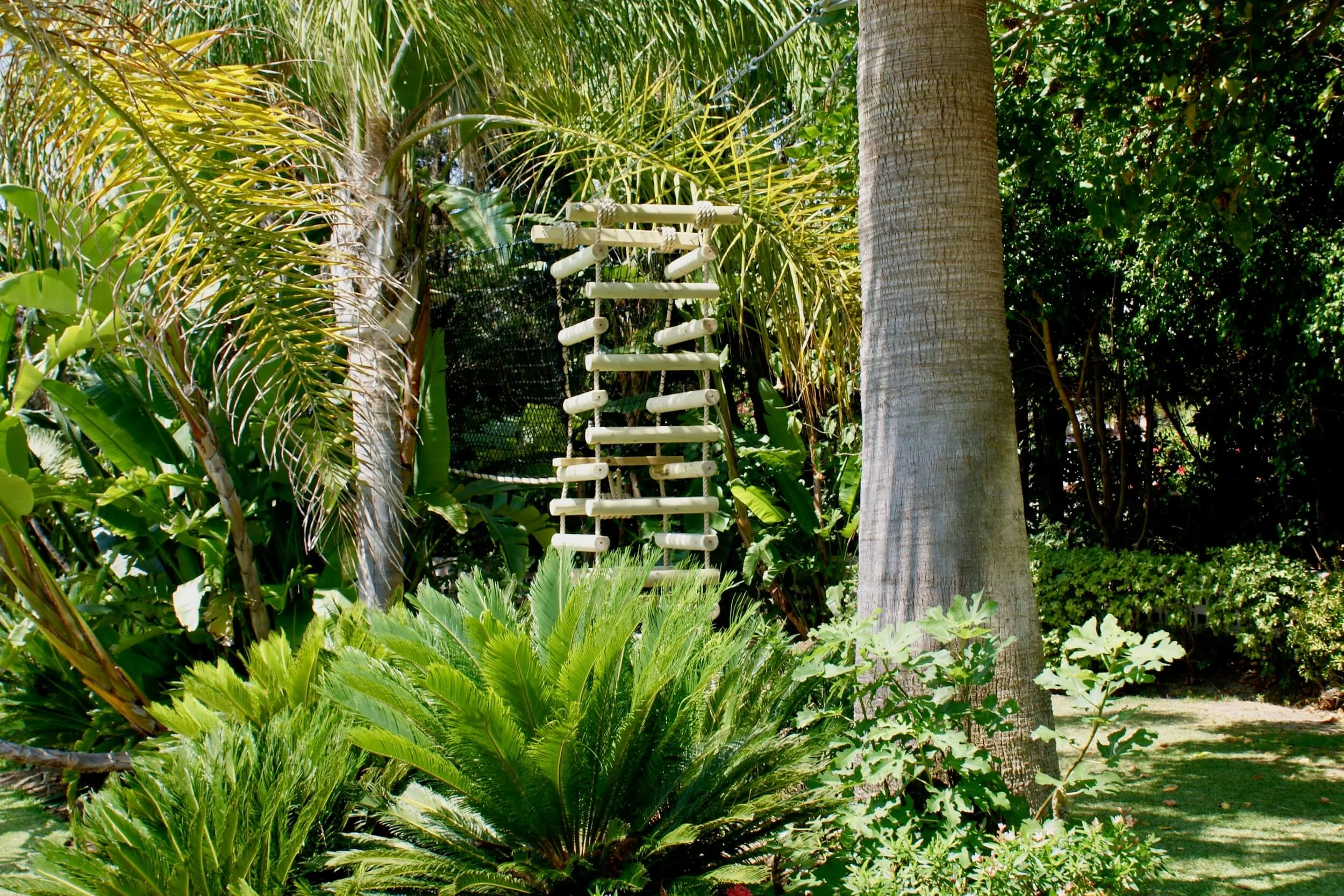 4-sided Rope Ladder amongst palm trees